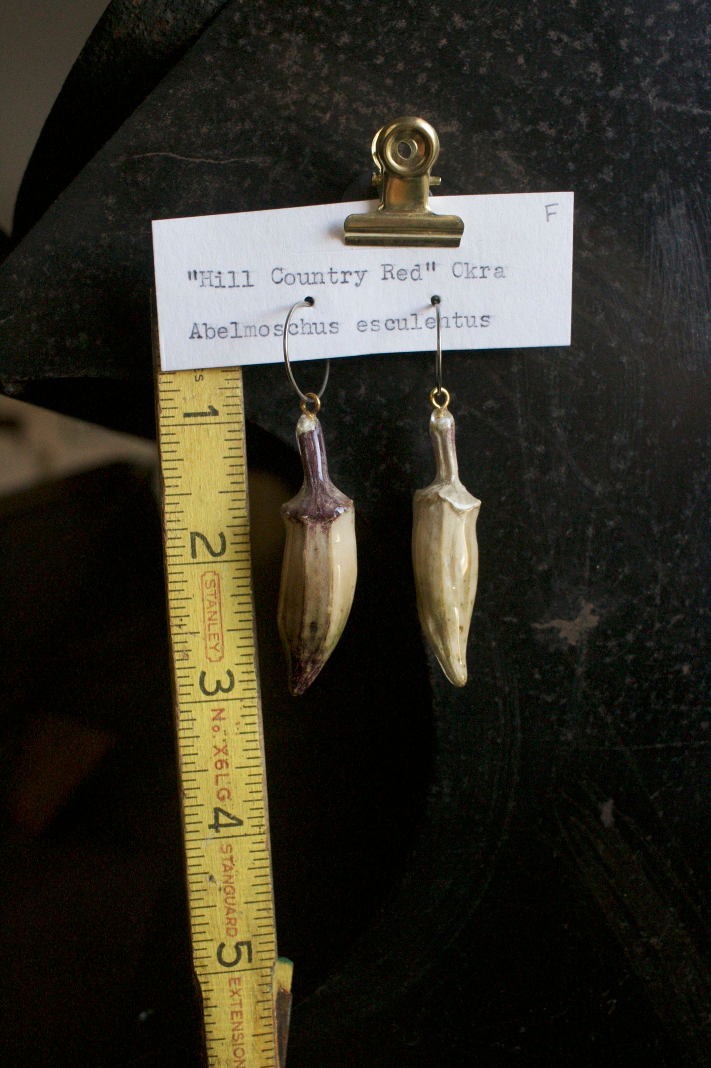 Abelmoschus esculentus "Hill Country Red"