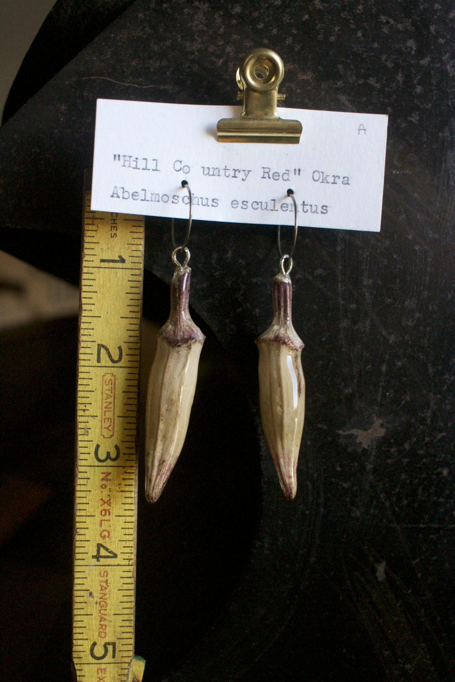 Abelmoschus esculentus "Hill Country Red"