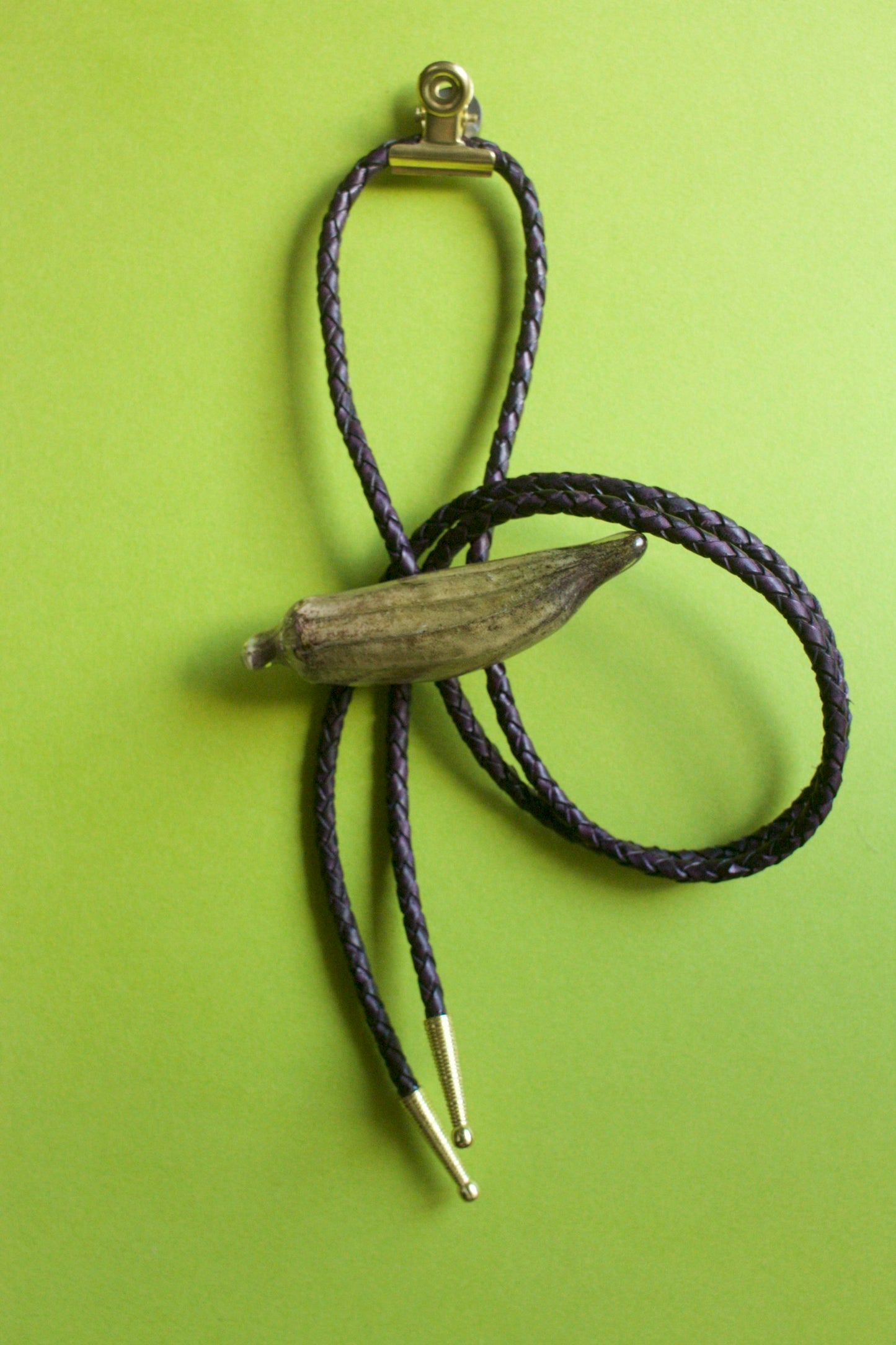 Abelmoschus esculentus Bolero Tie