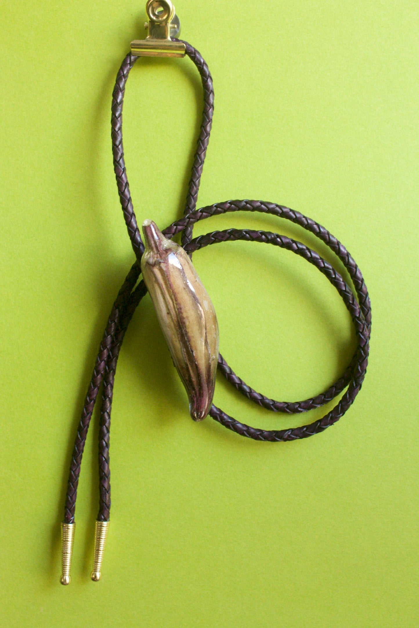 Abelmoschus esculentus Bolero Tie