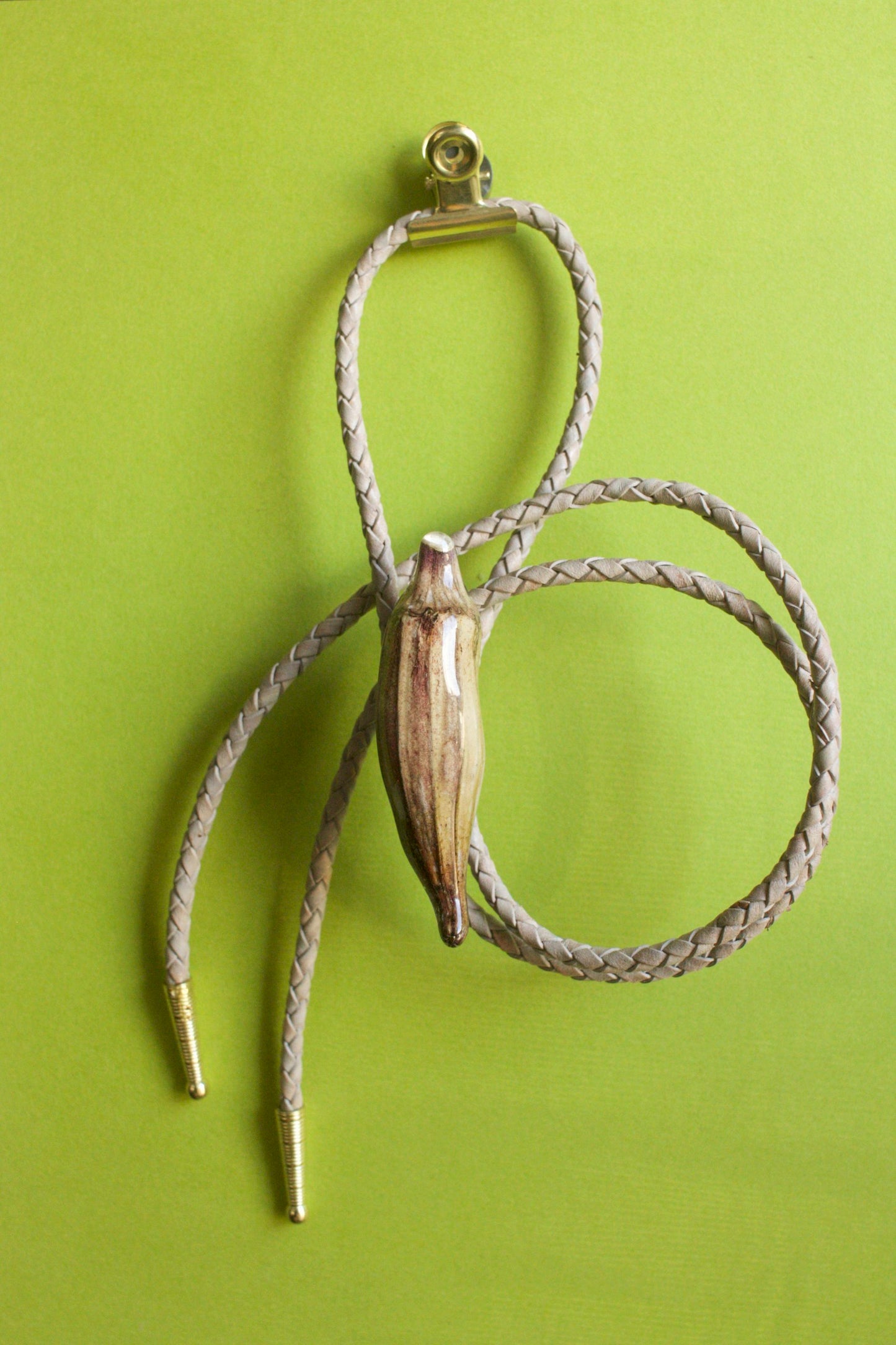Abelmoschus esculentus Bolero Tie