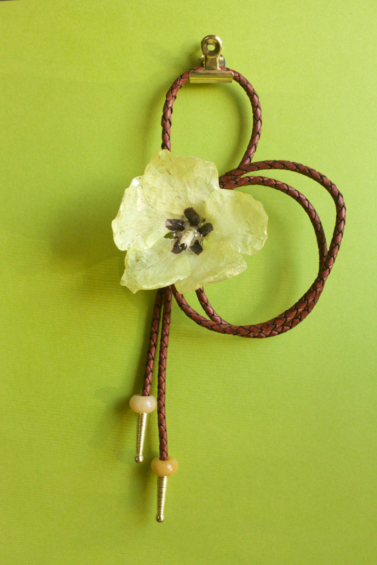 Abelmoschus esculentus Bloom Bolero Tie