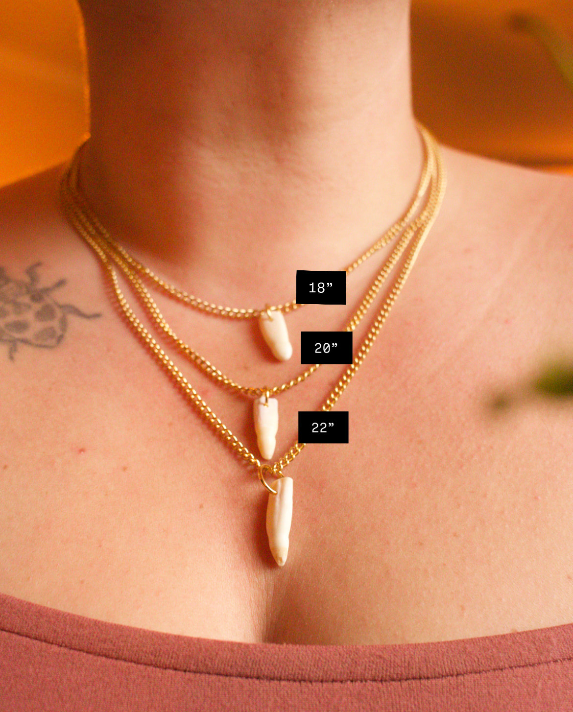Alligator mississippiensis Tooth Necklace