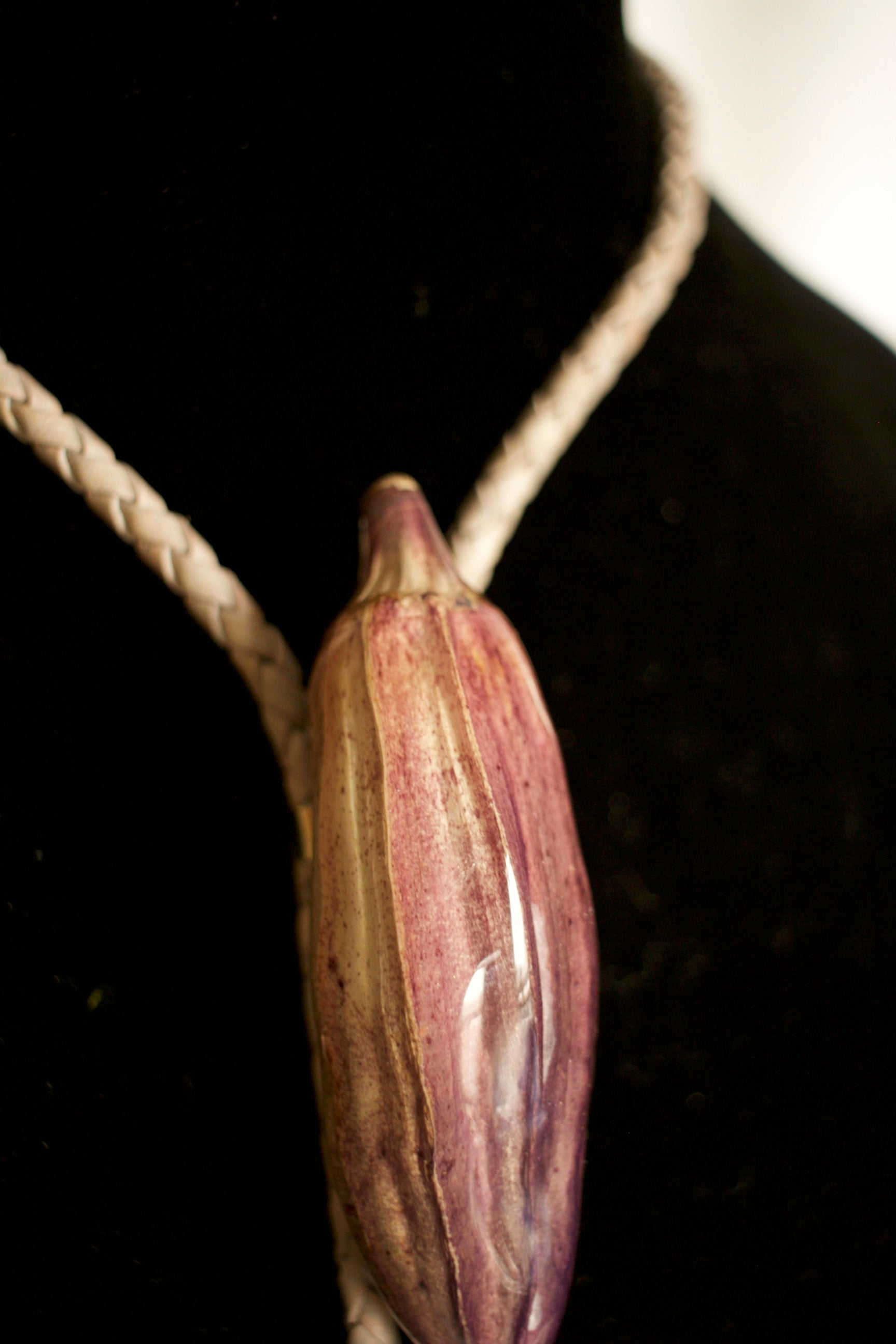 Okra Pod Bolo Tie