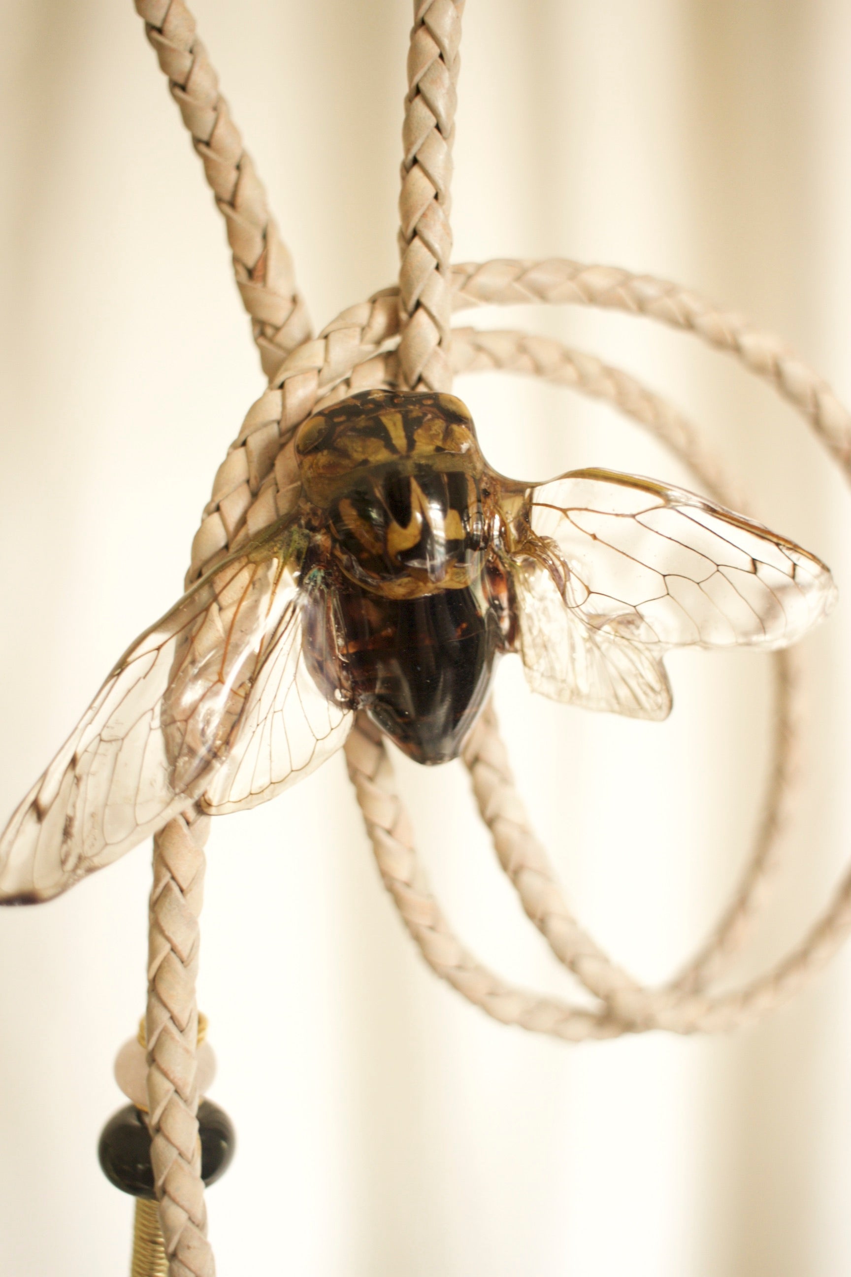 Cicada Bolo Tie