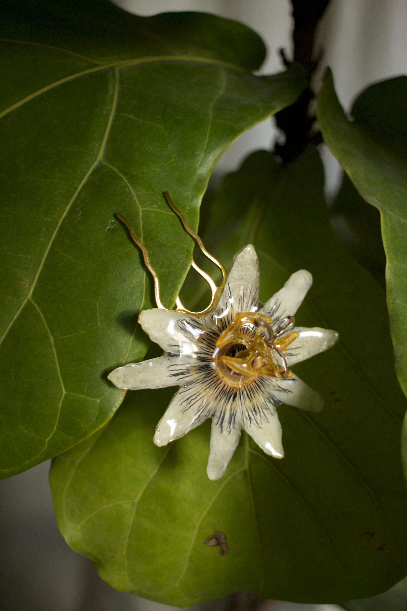 Passiflora Coiffure Comb