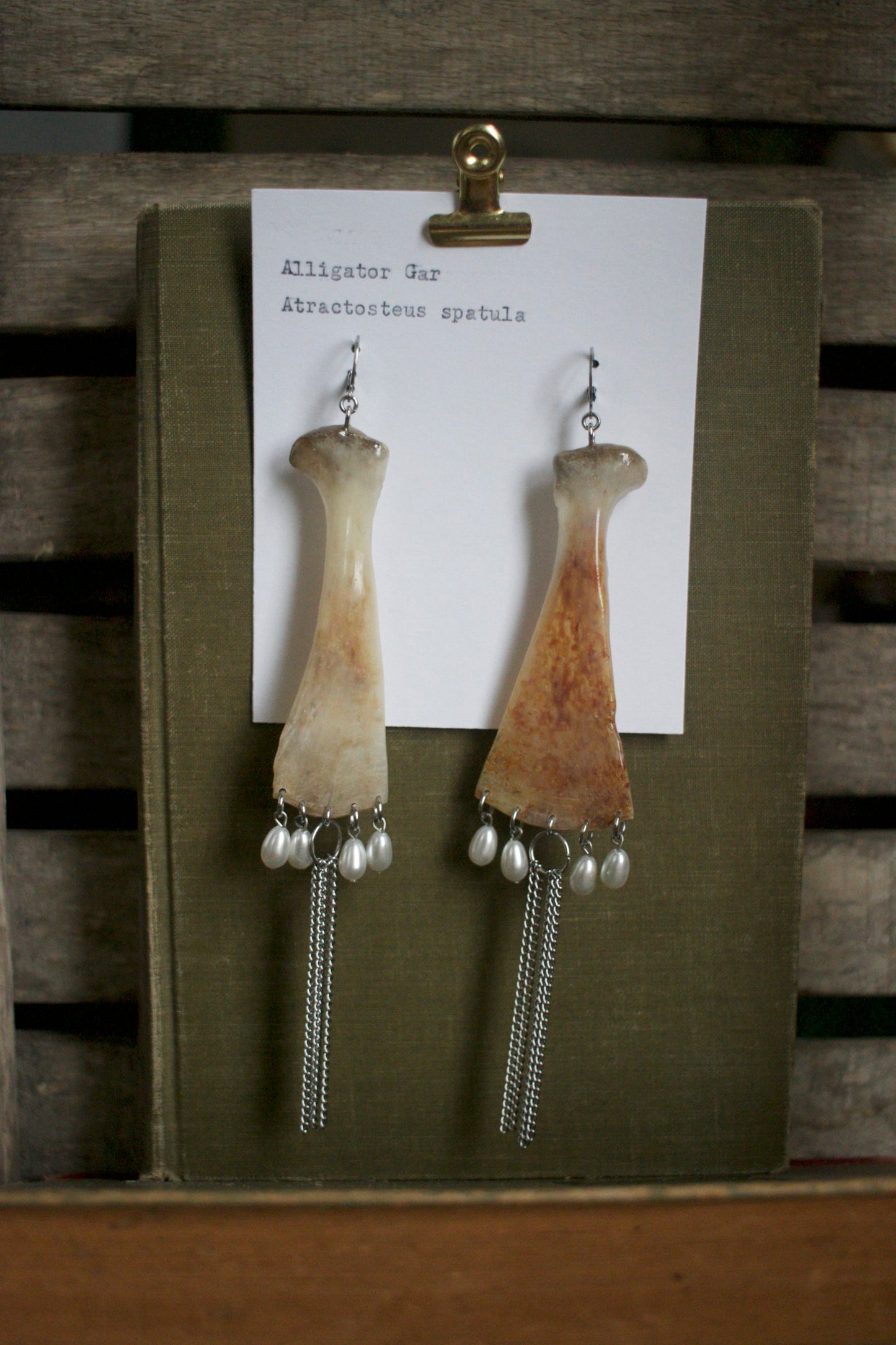 Atractosteus spatula Kite Dangles