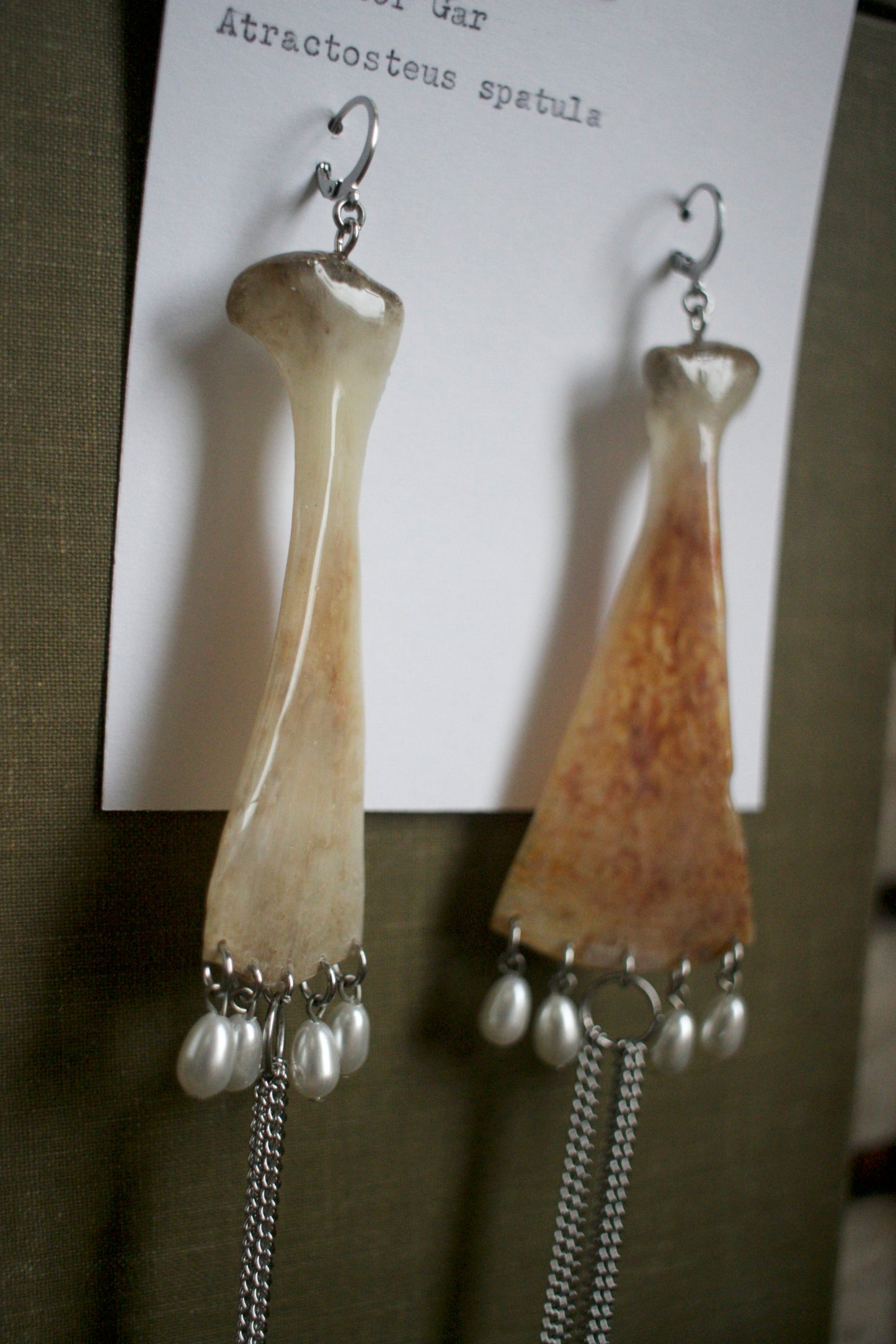 Atractosteus spatula Kite Dangles