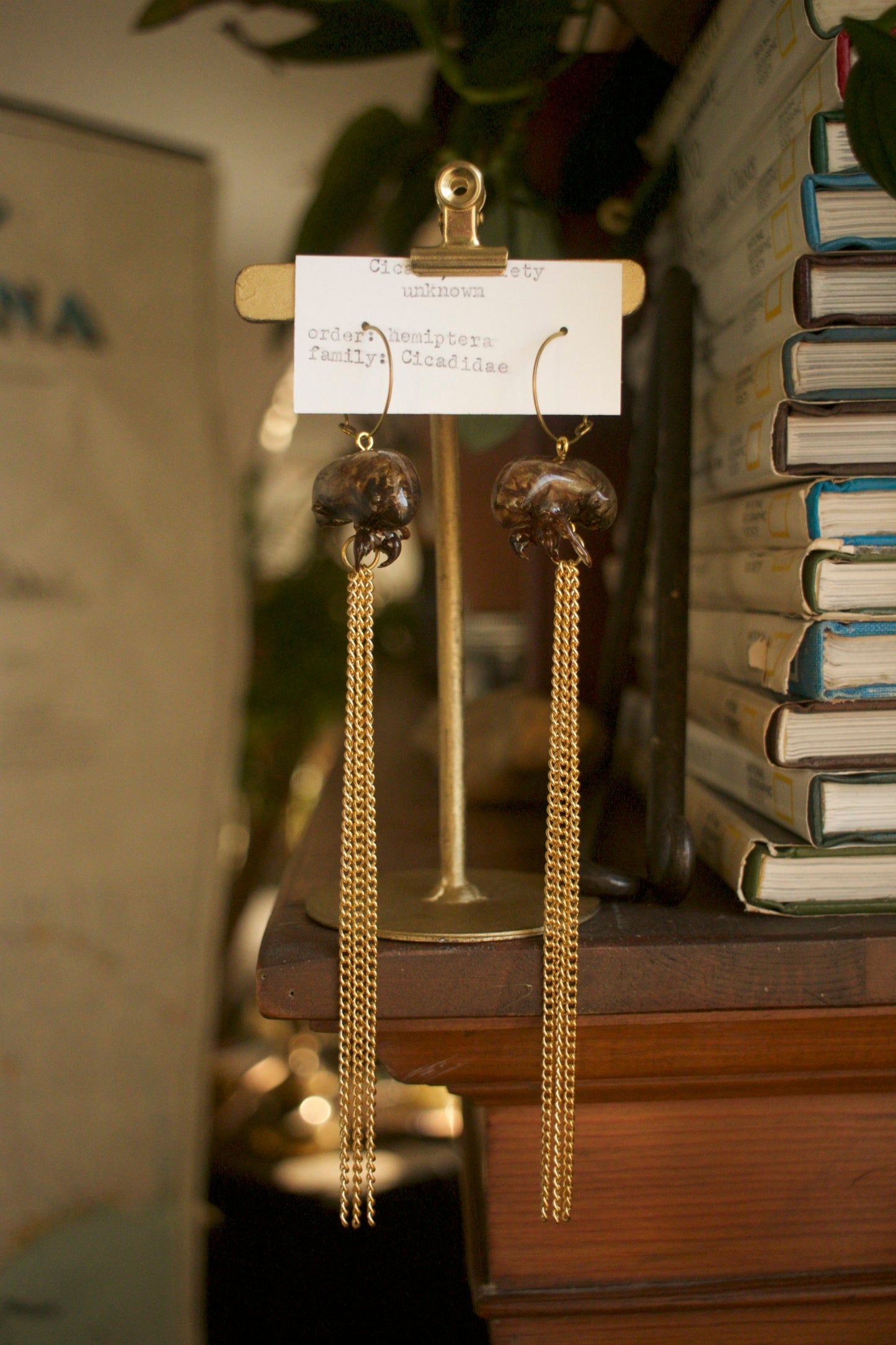 Cicadidae Chain Dangles
