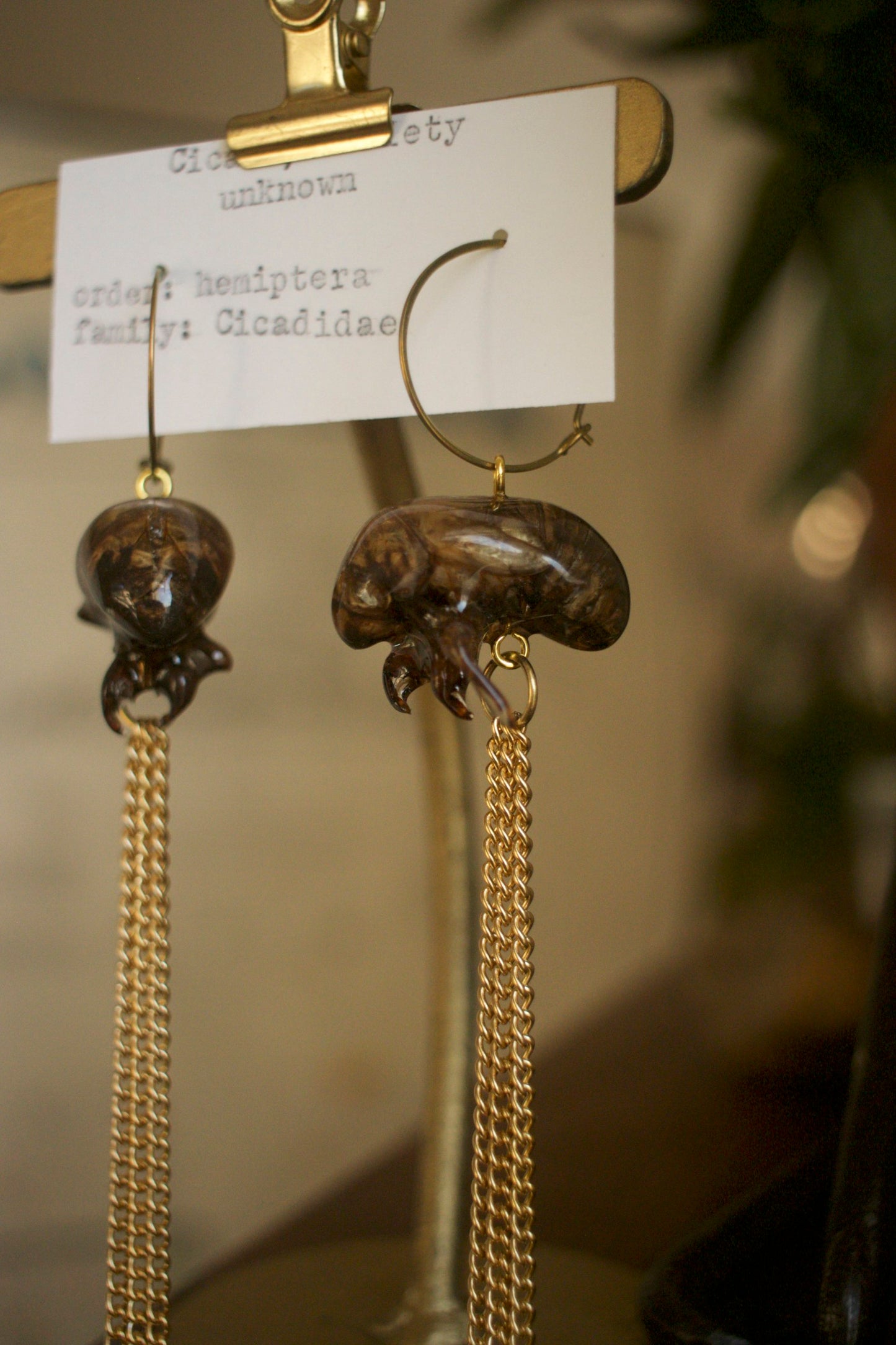 Cicadidae Chain Dangles