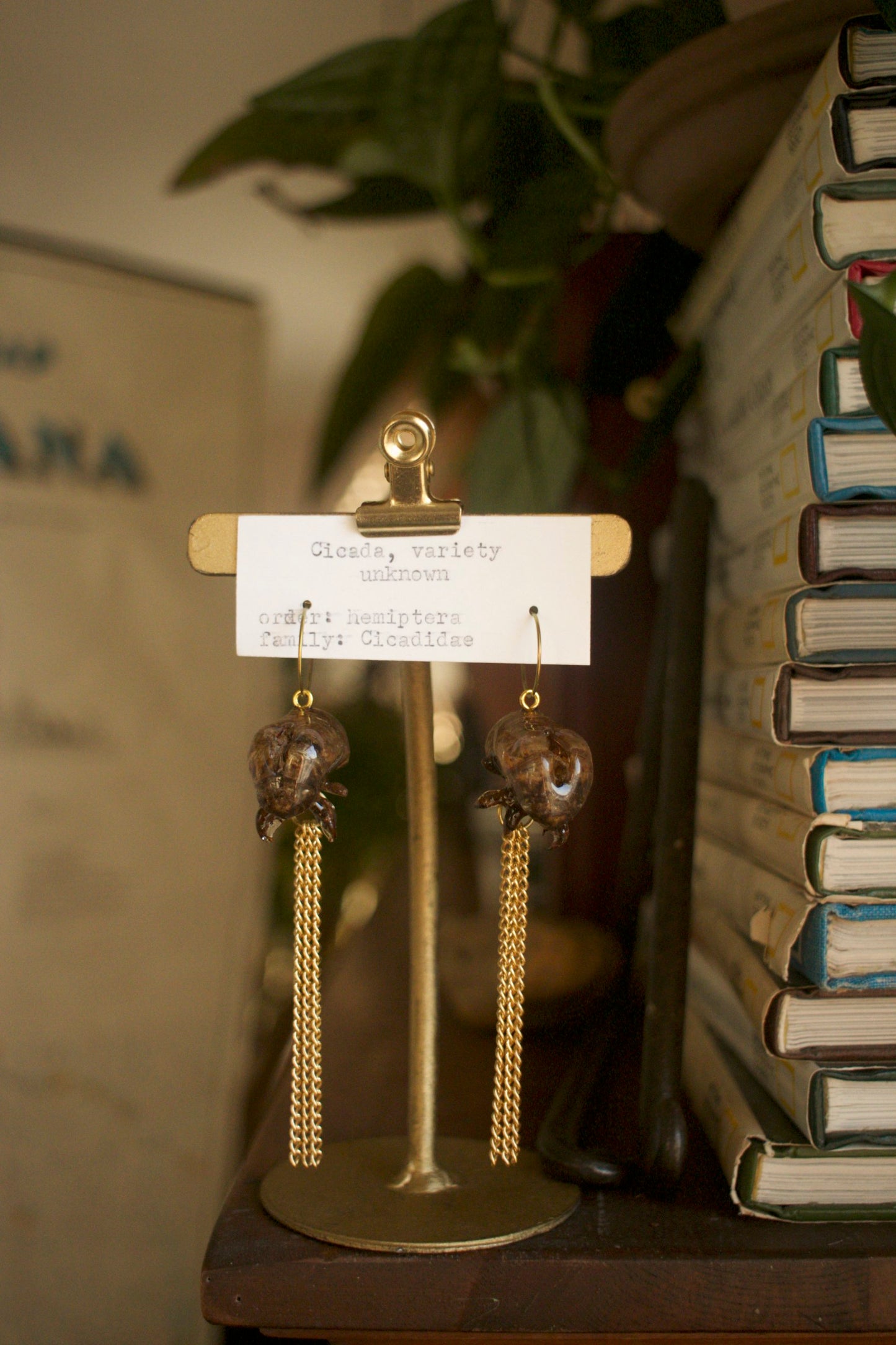 Cicadidae Chain Dangles