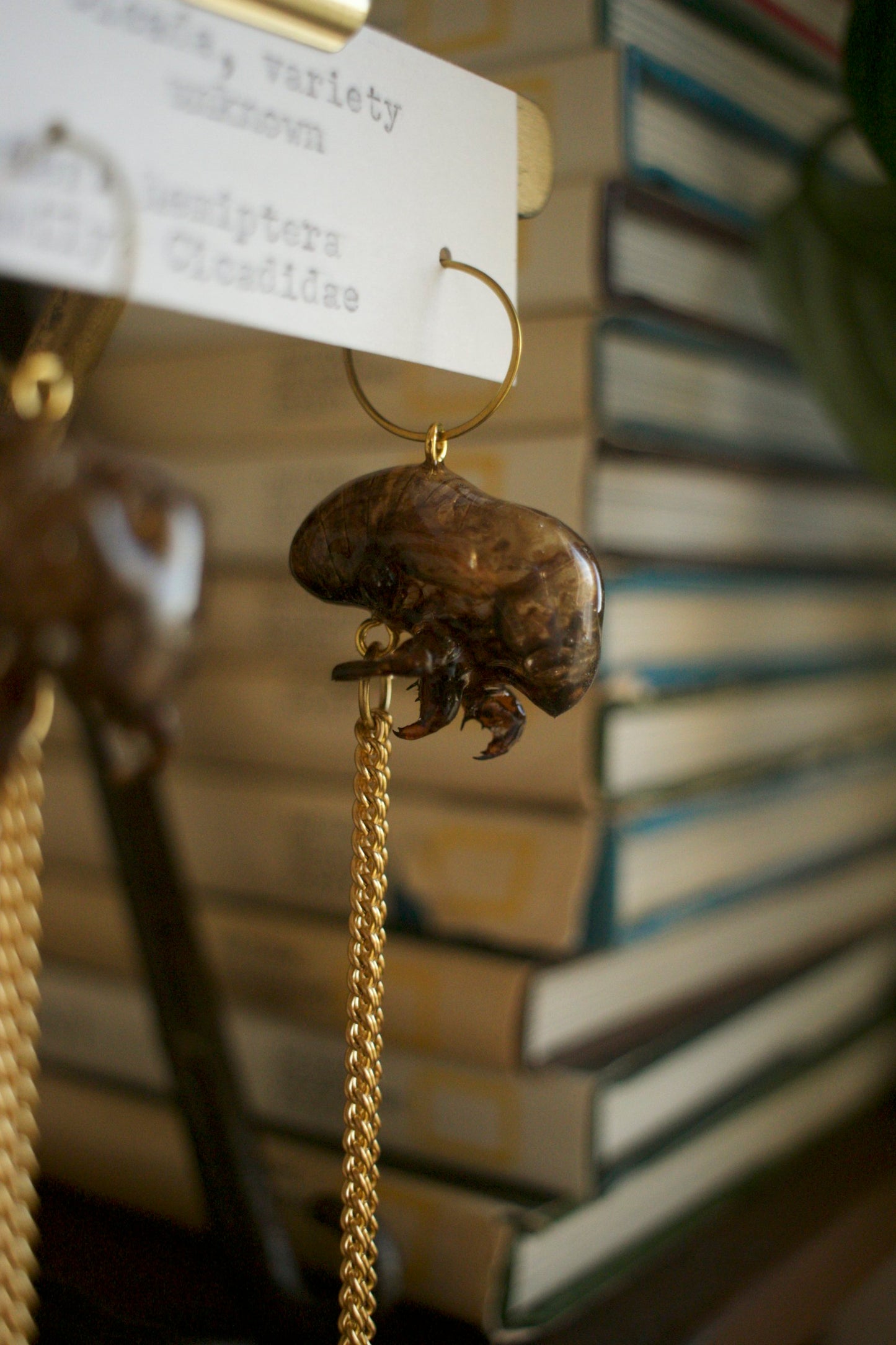 Cicadidae Chain Dangles