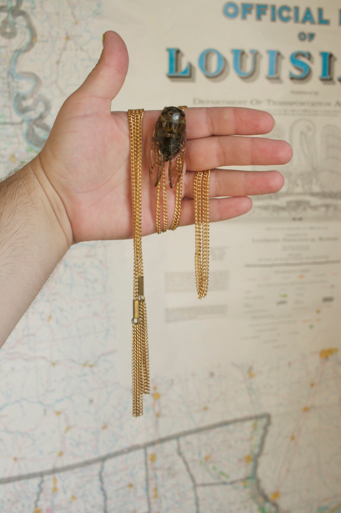 Cicadidae Chain Bolero Tie