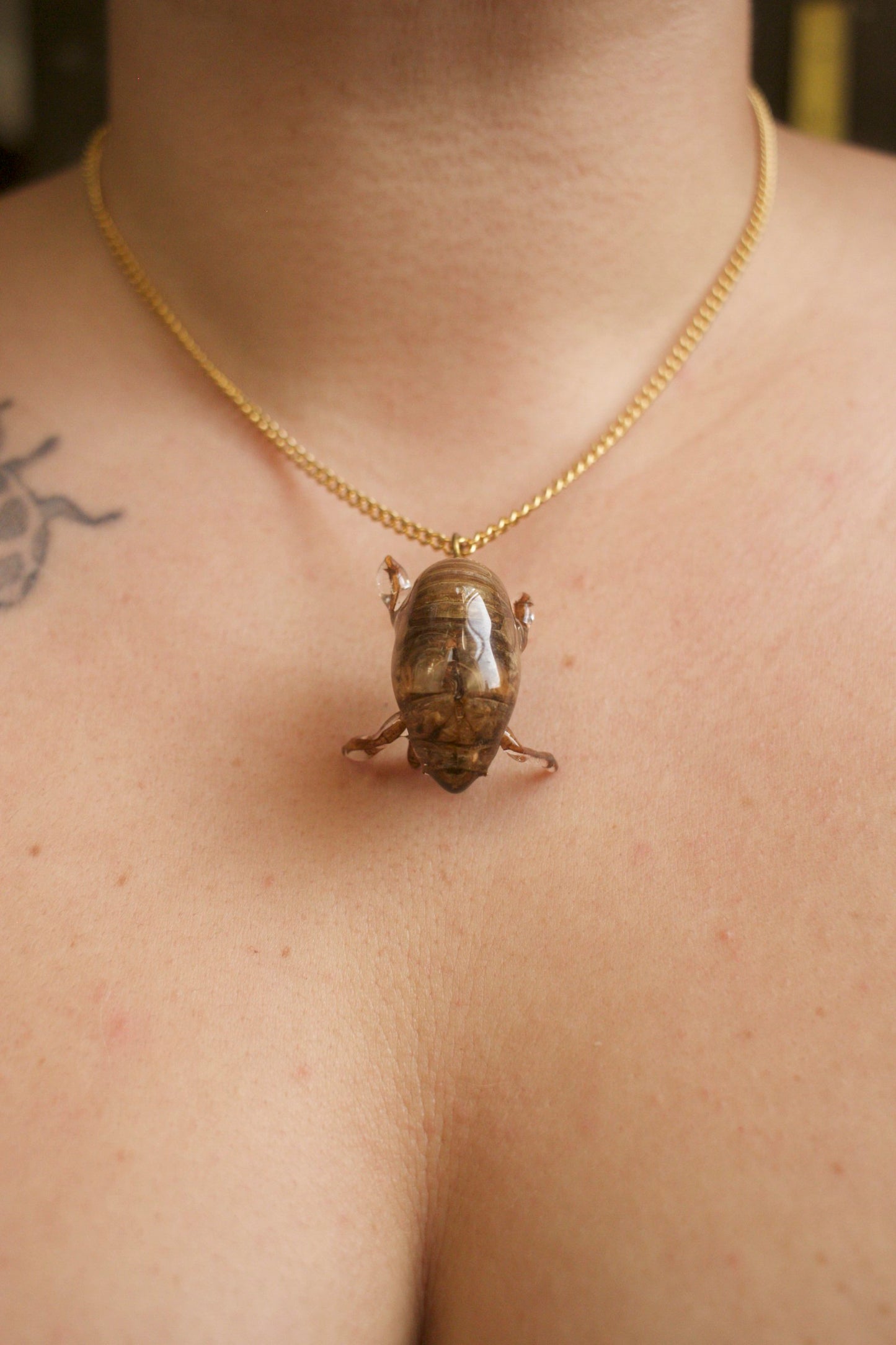 Cicadidae Simple Necklace