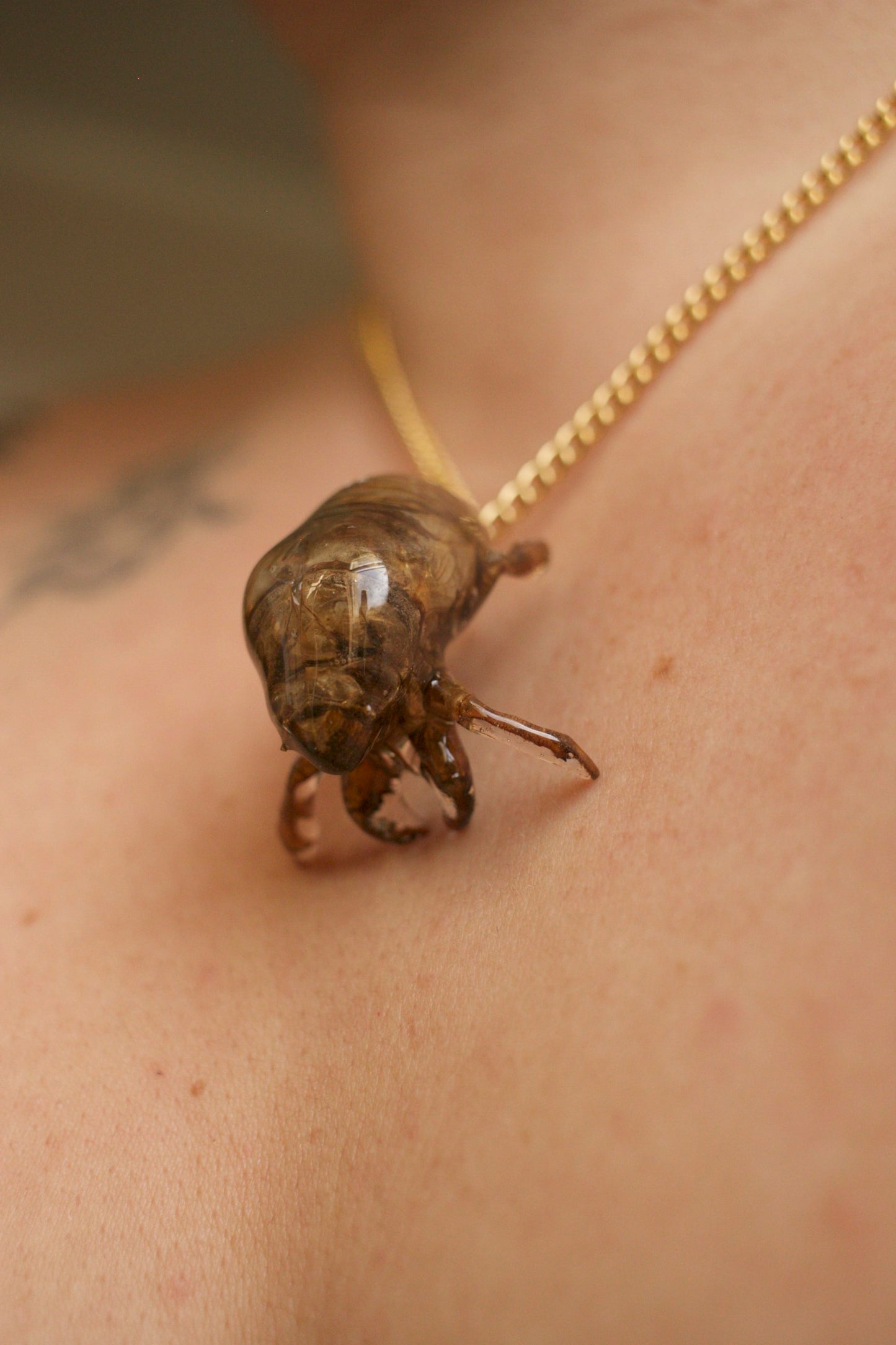 Cicadidae Simple Necklace