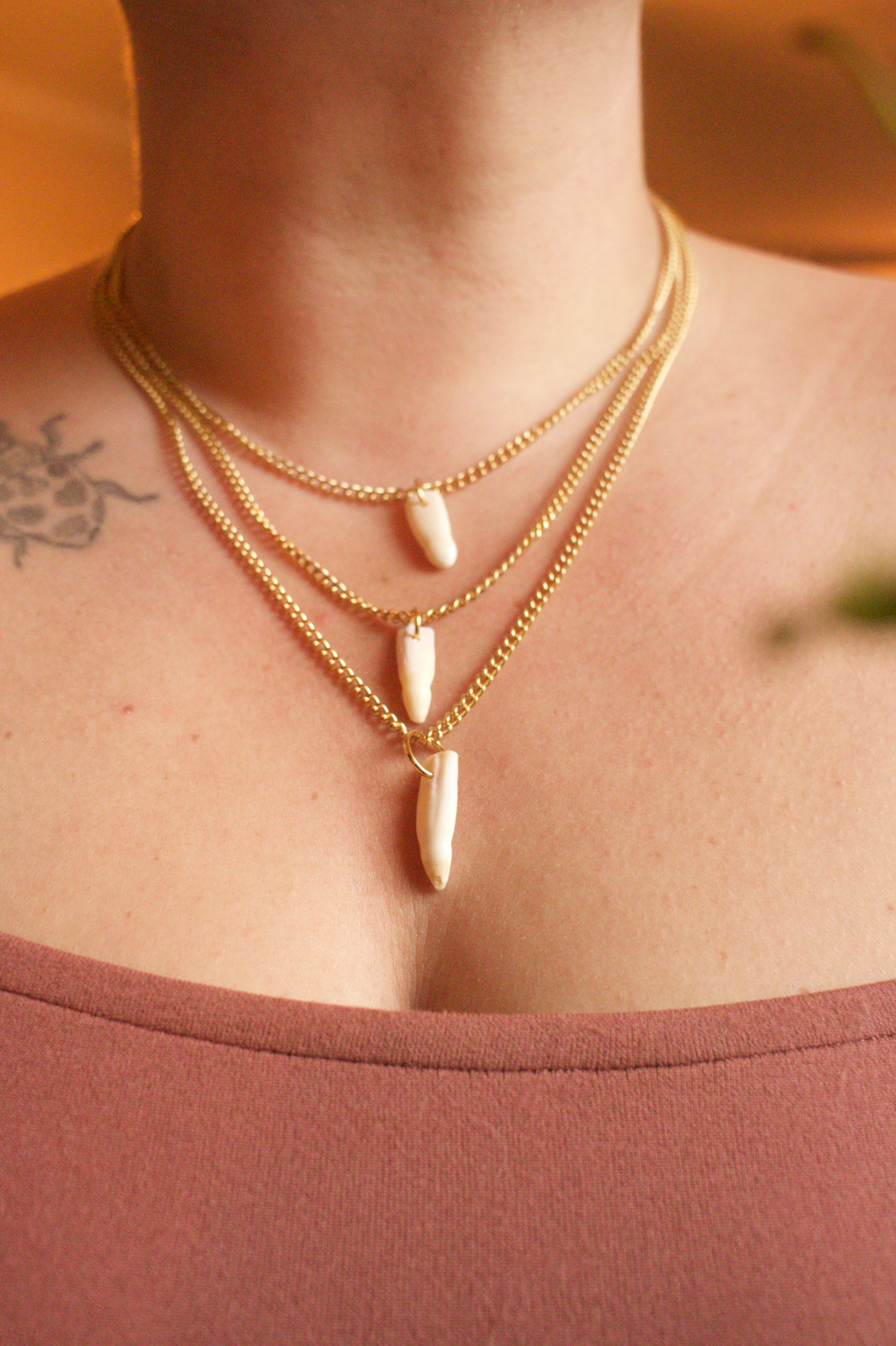 Alligator mississippiensis Tooth Necklace