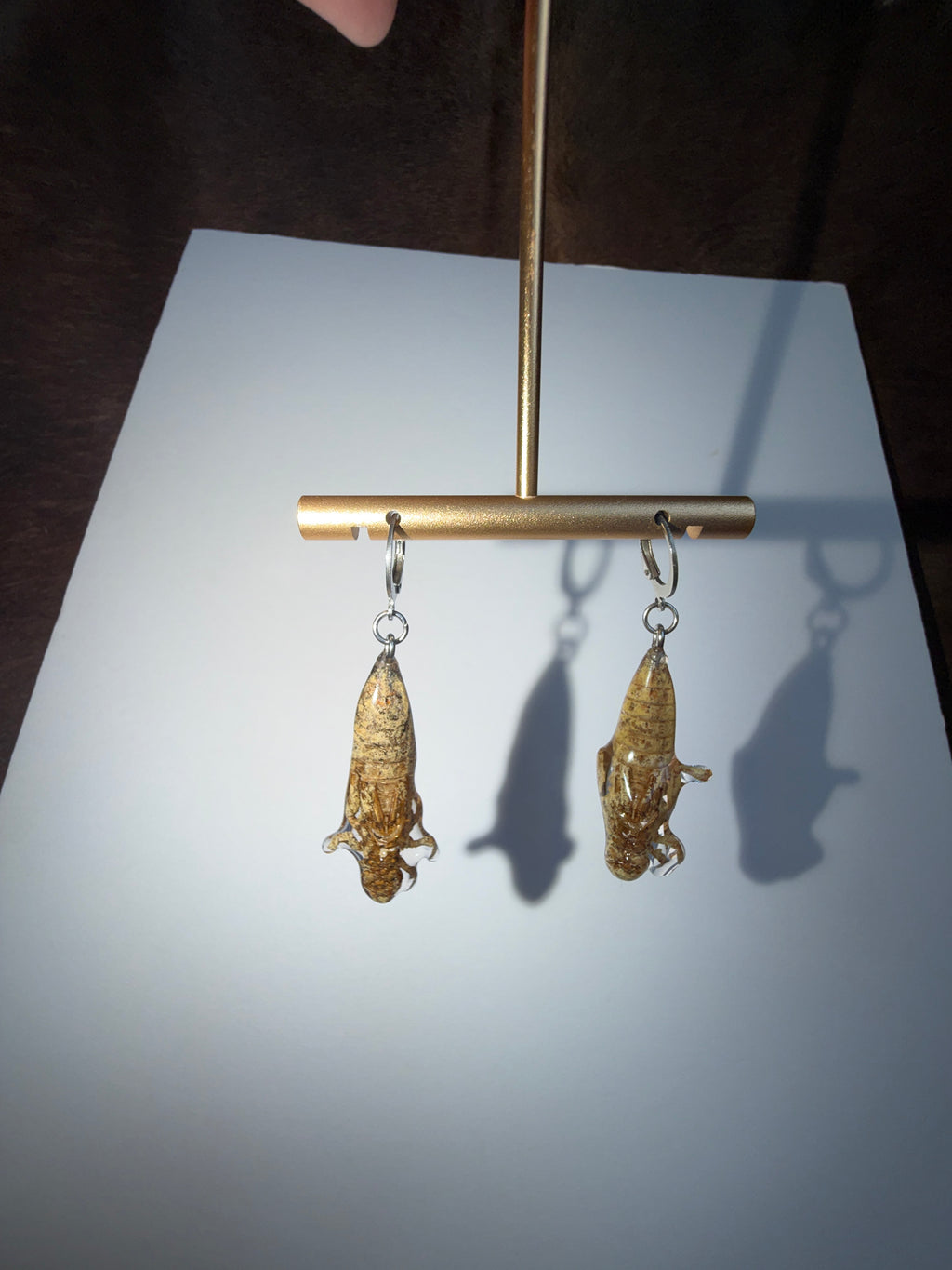 Dragonfly Shed Earrings