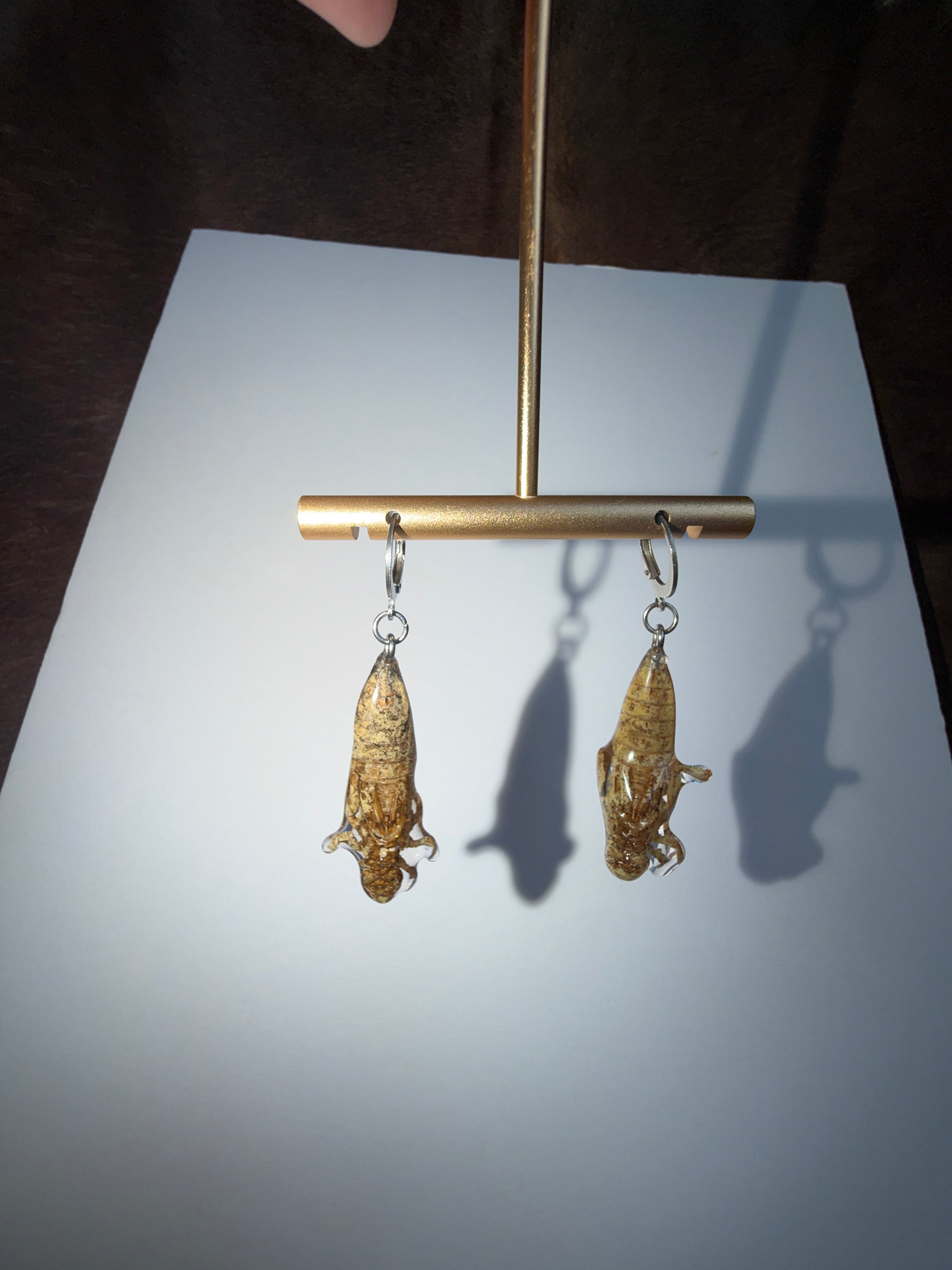 Dragonfly Shed Earrings