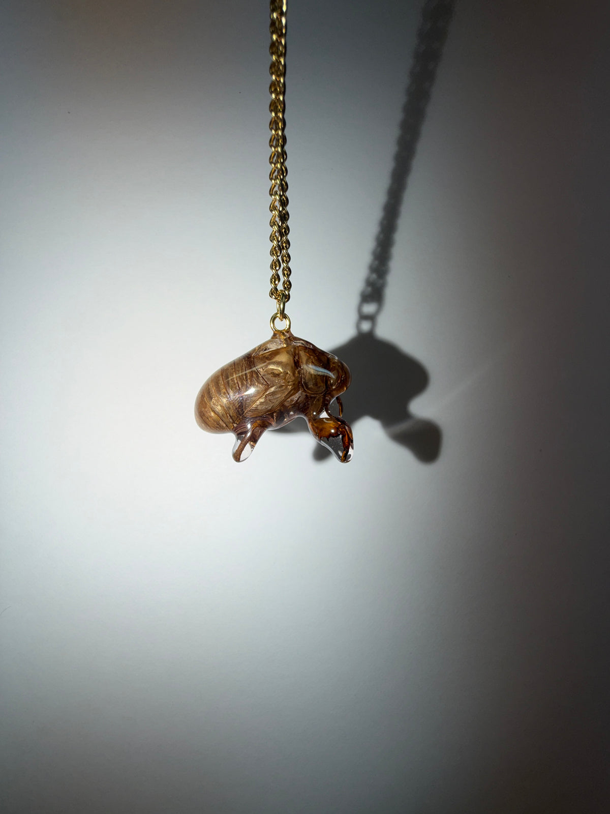 Cicada Shell Necklace