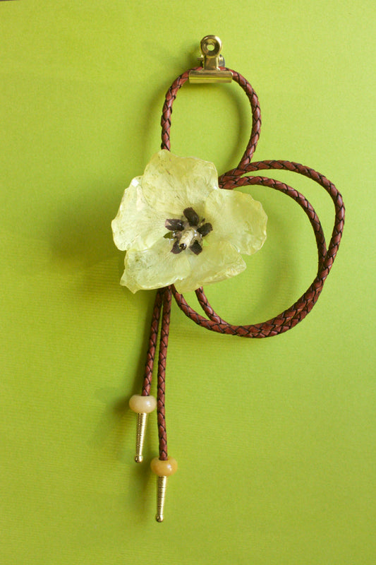 Abelmoschus esculentus Bloom Bolero Tie