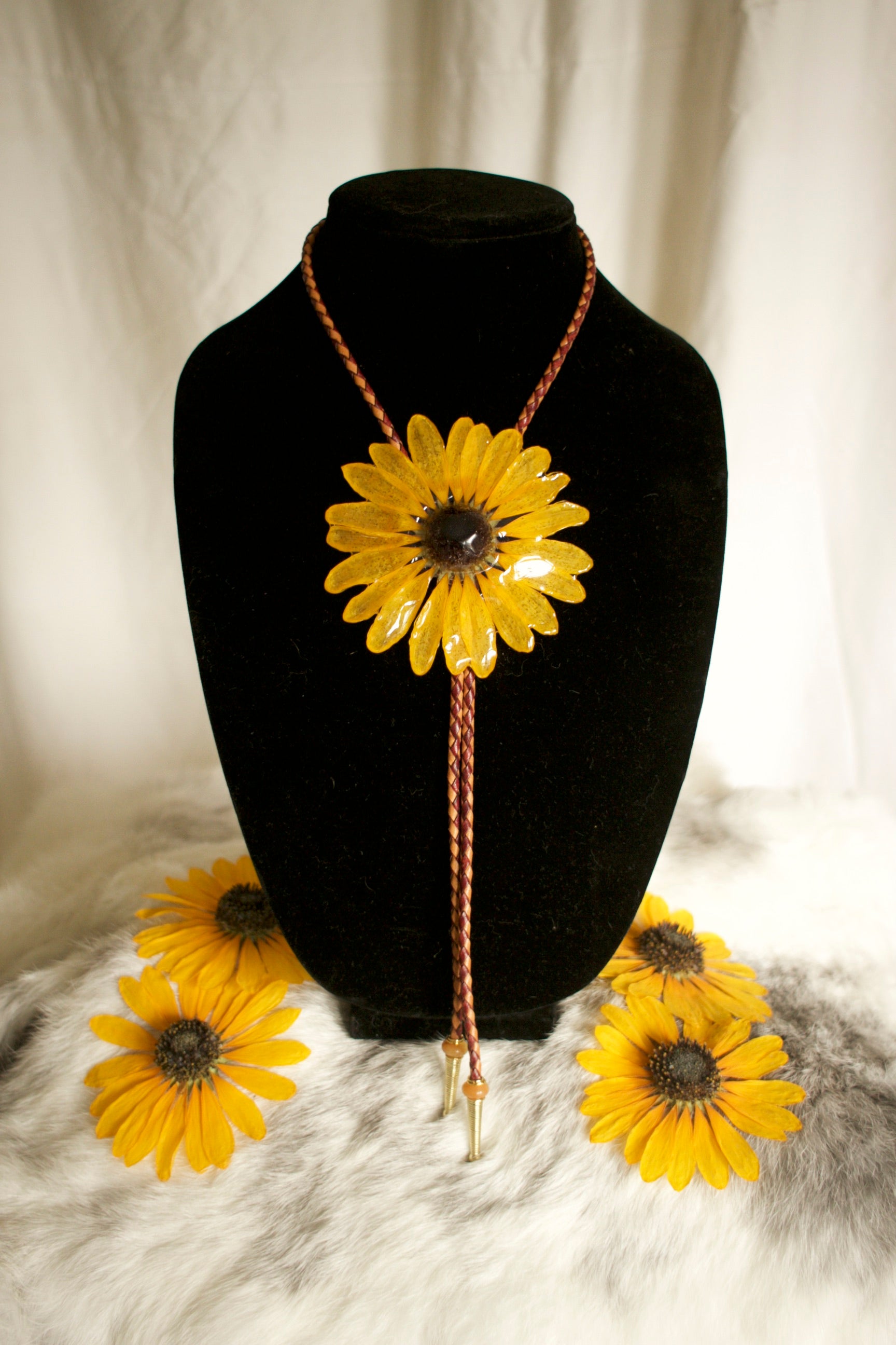 Common Sunflower Bolo Tie