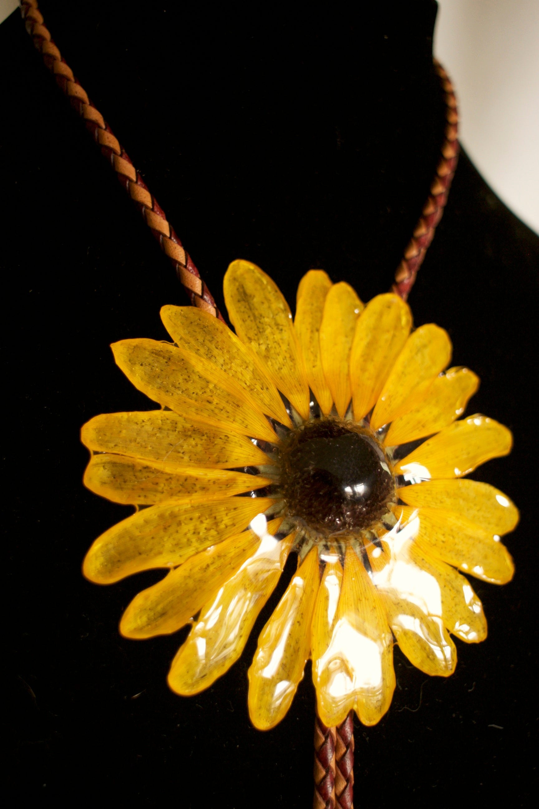 Common Sunflower Bolo Tie
