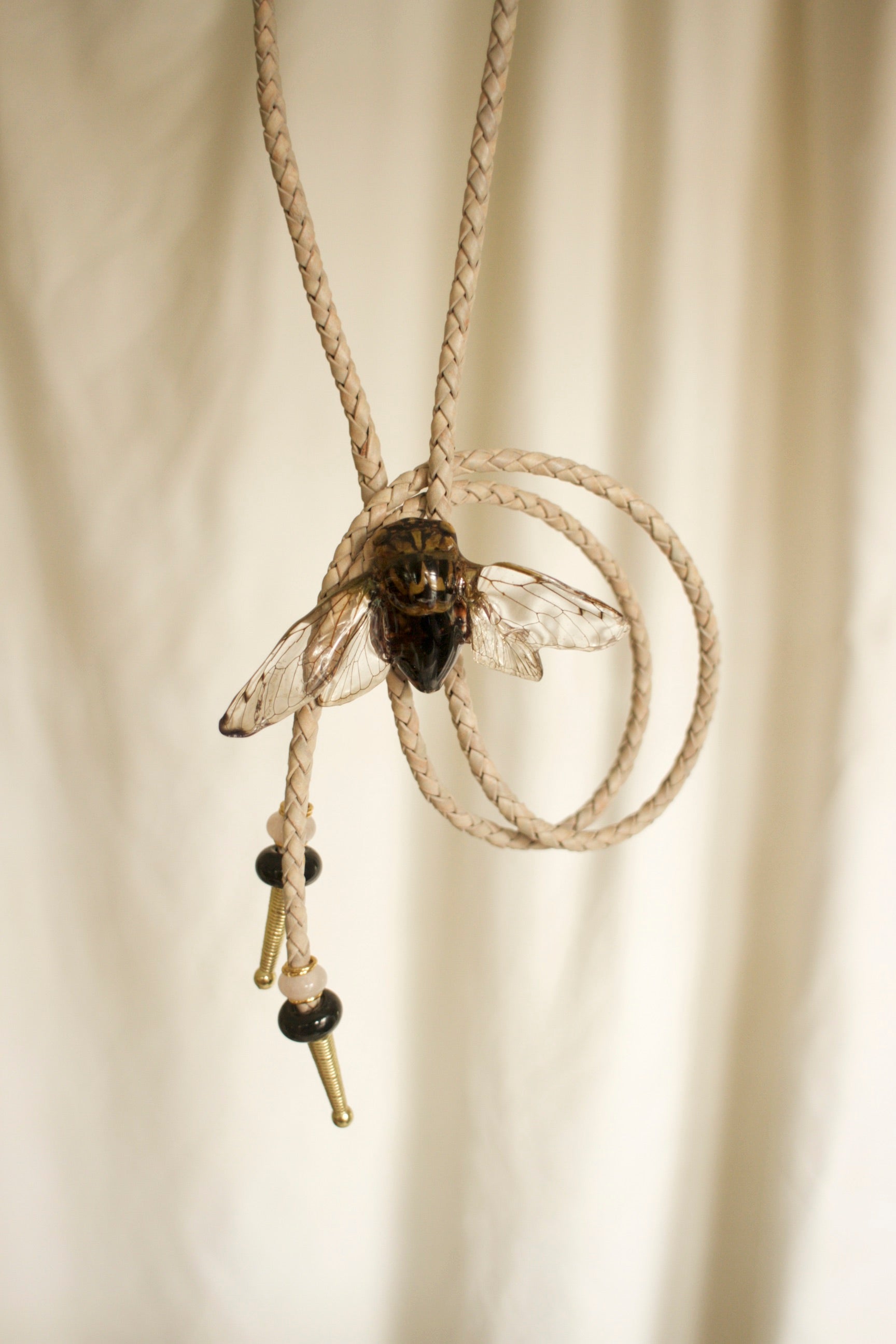 Cicada Bolo Tie