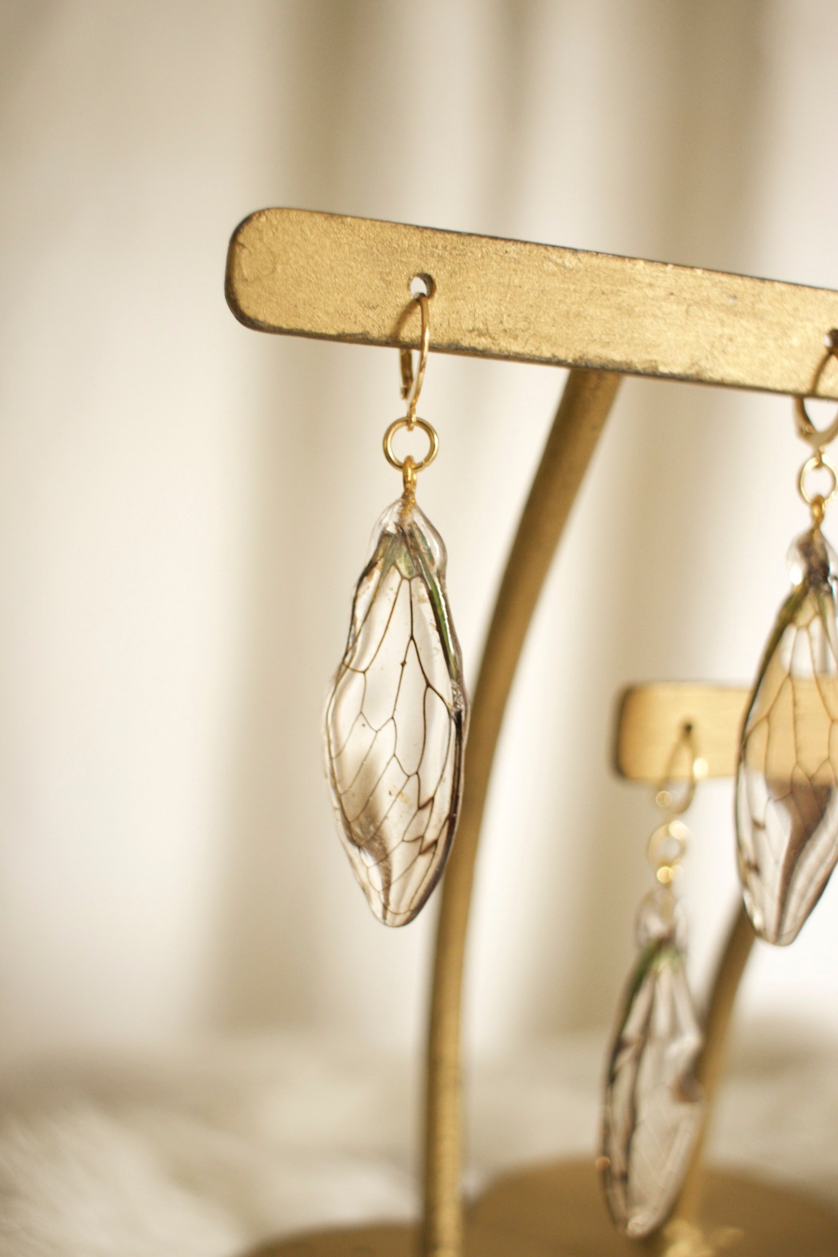 Cicada Wing Earrings
