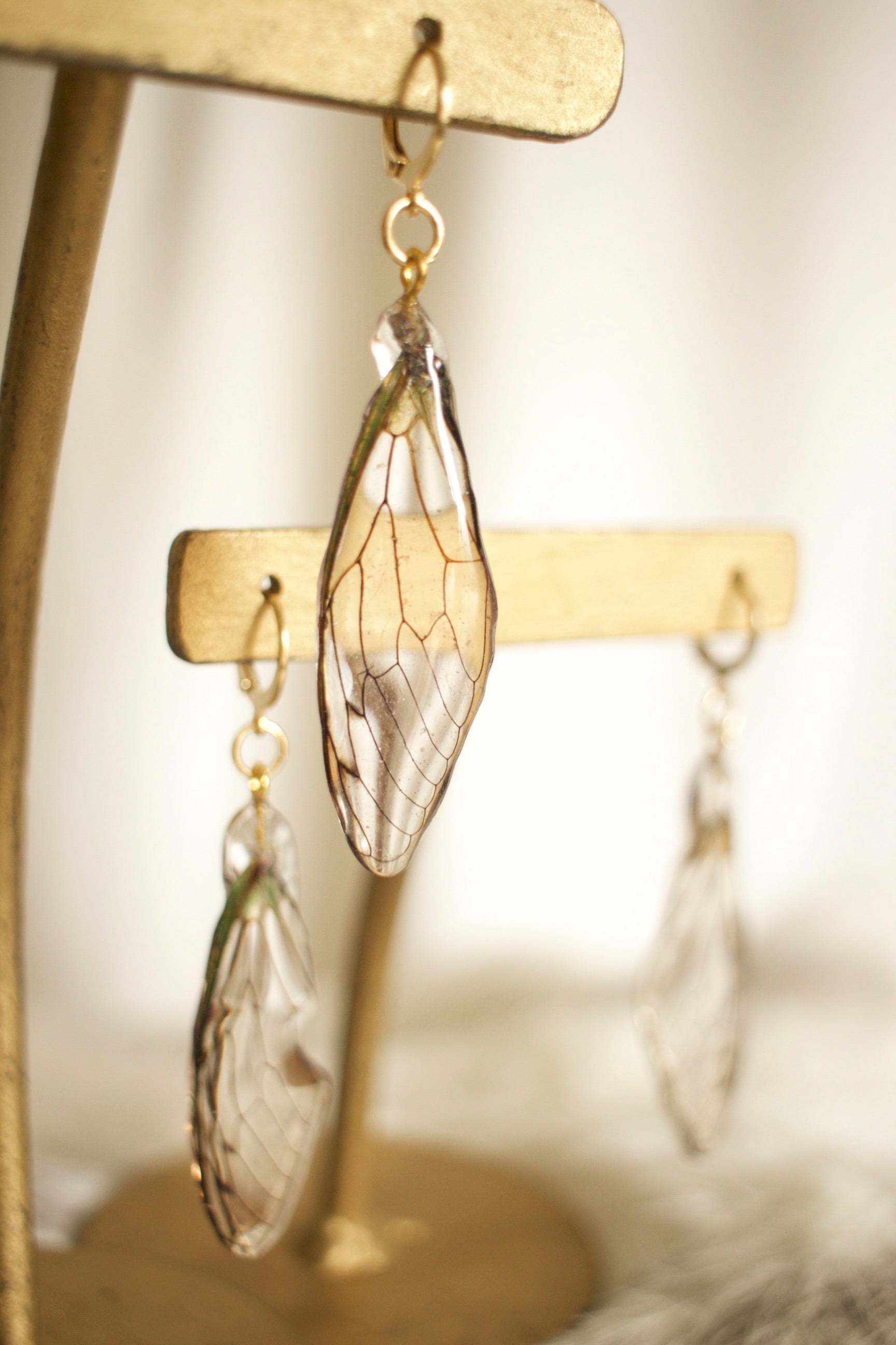 Cicada Wing Earrings