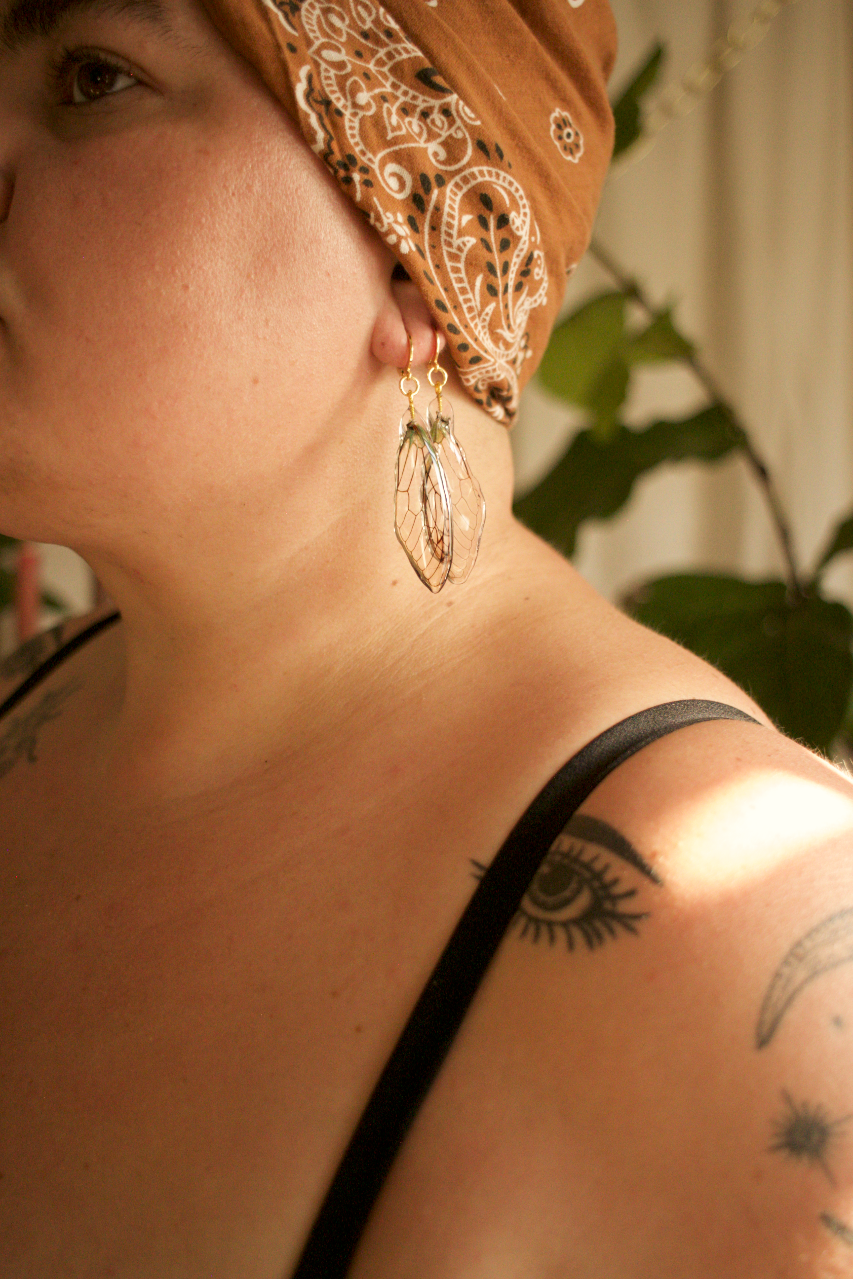 Cicada Wing Earrings