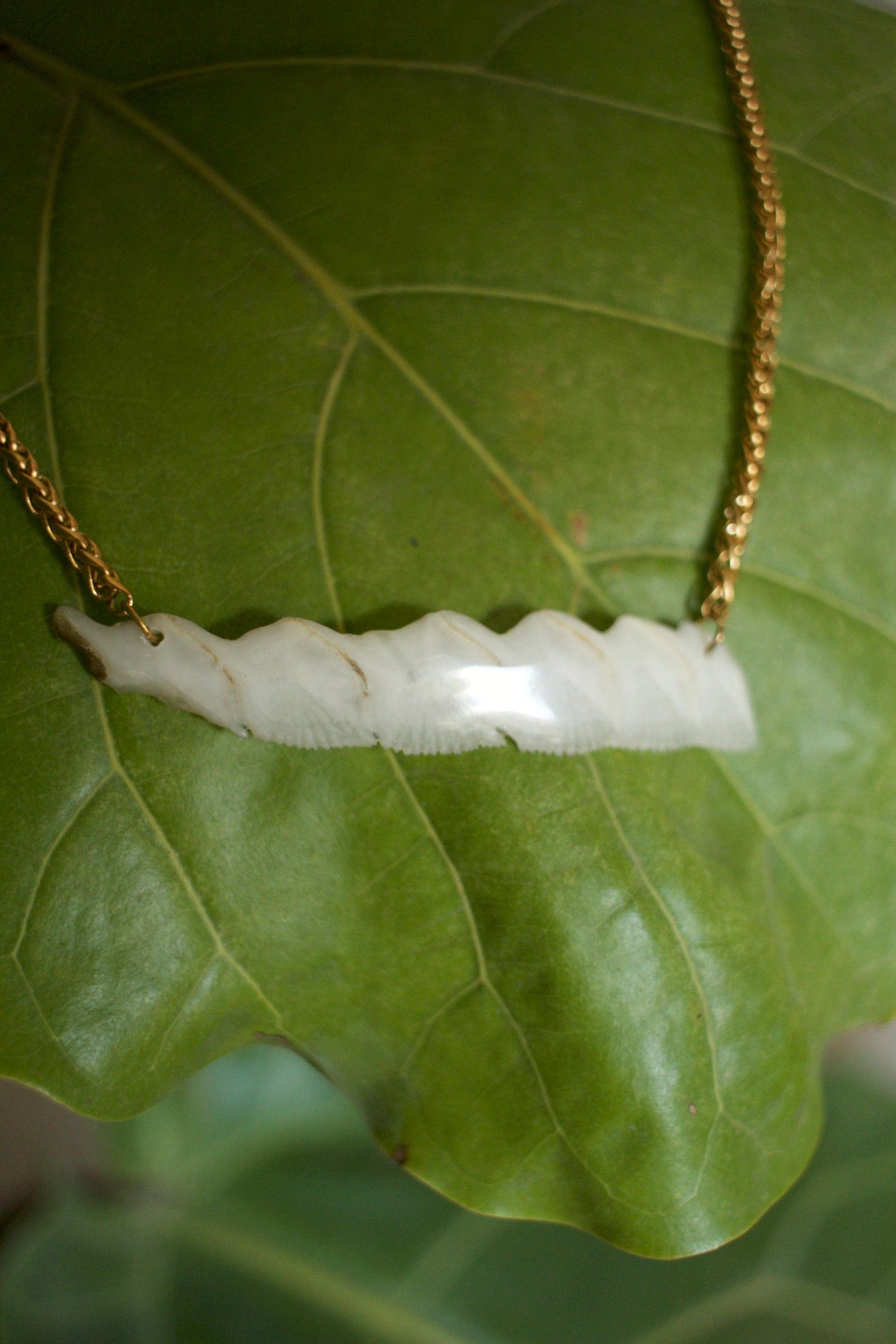 Alligator Garfish Scales Necklace in gold