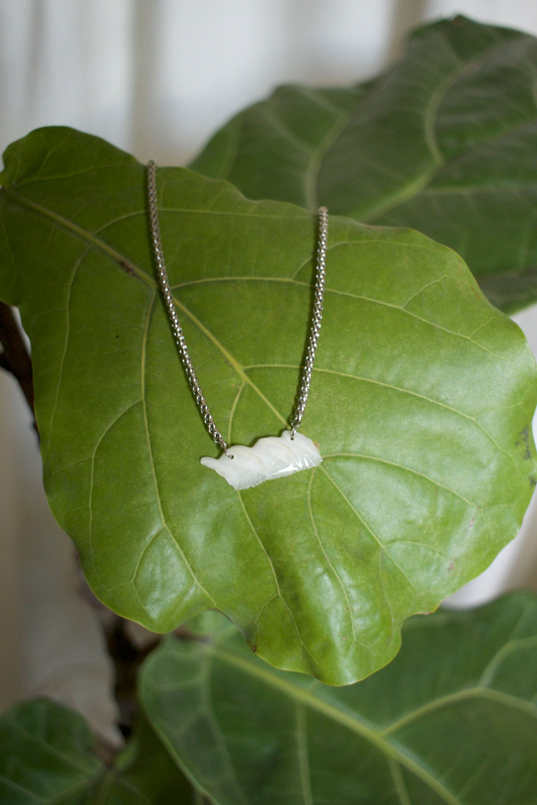 Alligator Garfish Scales Necklace in silver