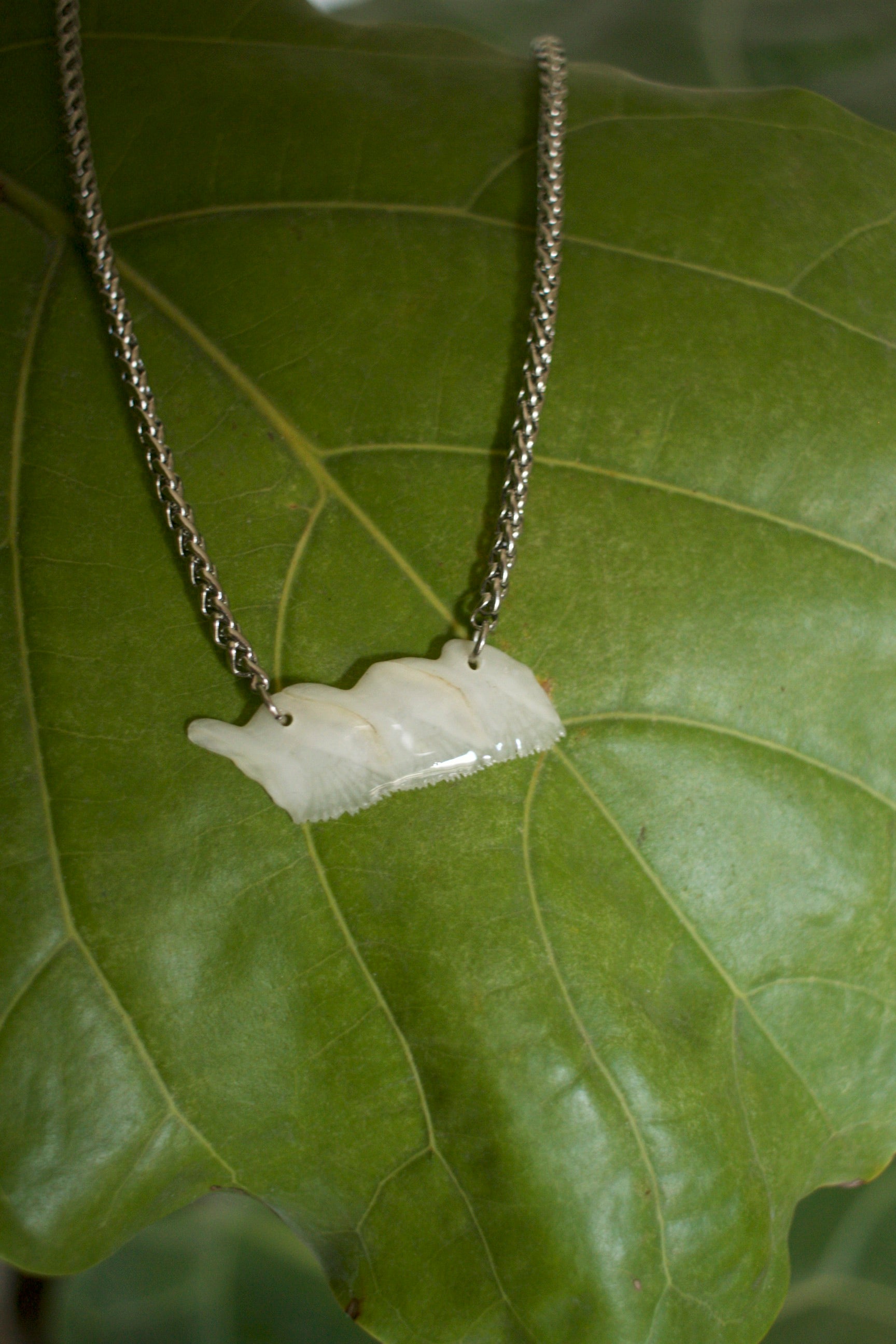 Alligator Garfish Scales Necklace in silver