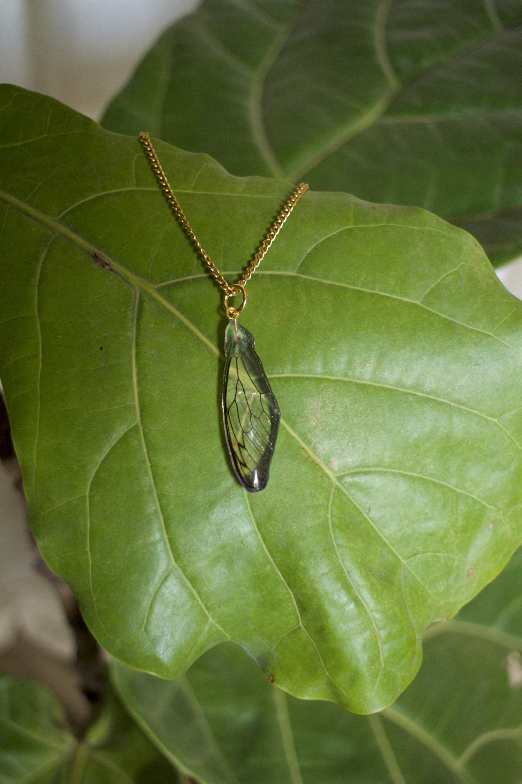 Cicada Wing Pendant Necklace
