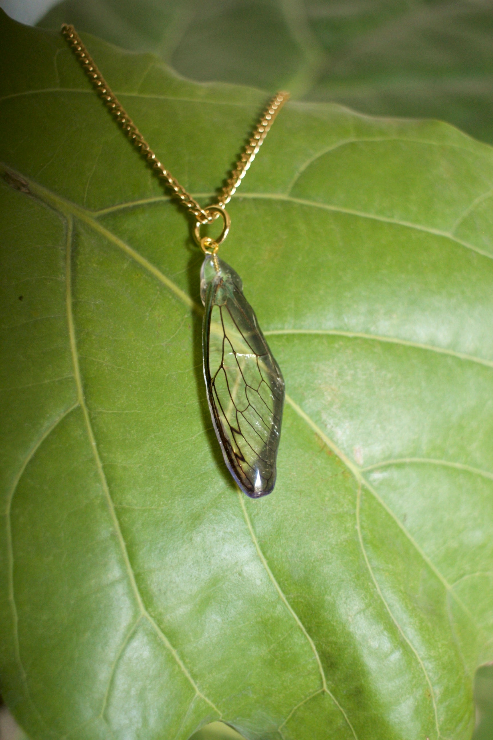 Cicada Wing Pendant Necklace