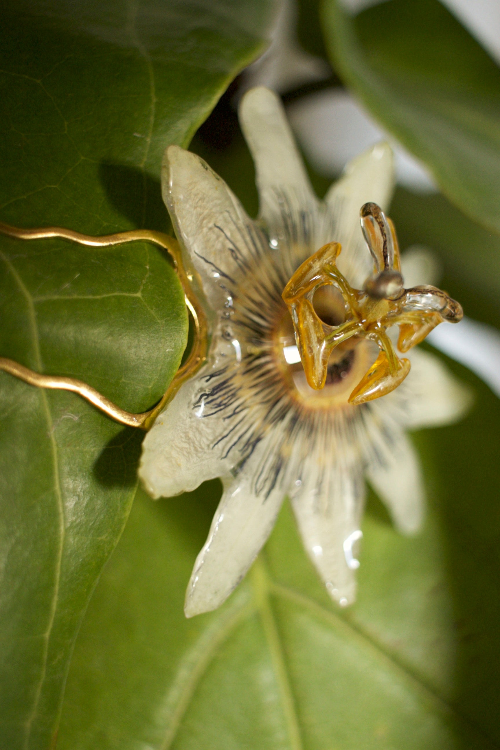 Passiflora Coiffure Comb