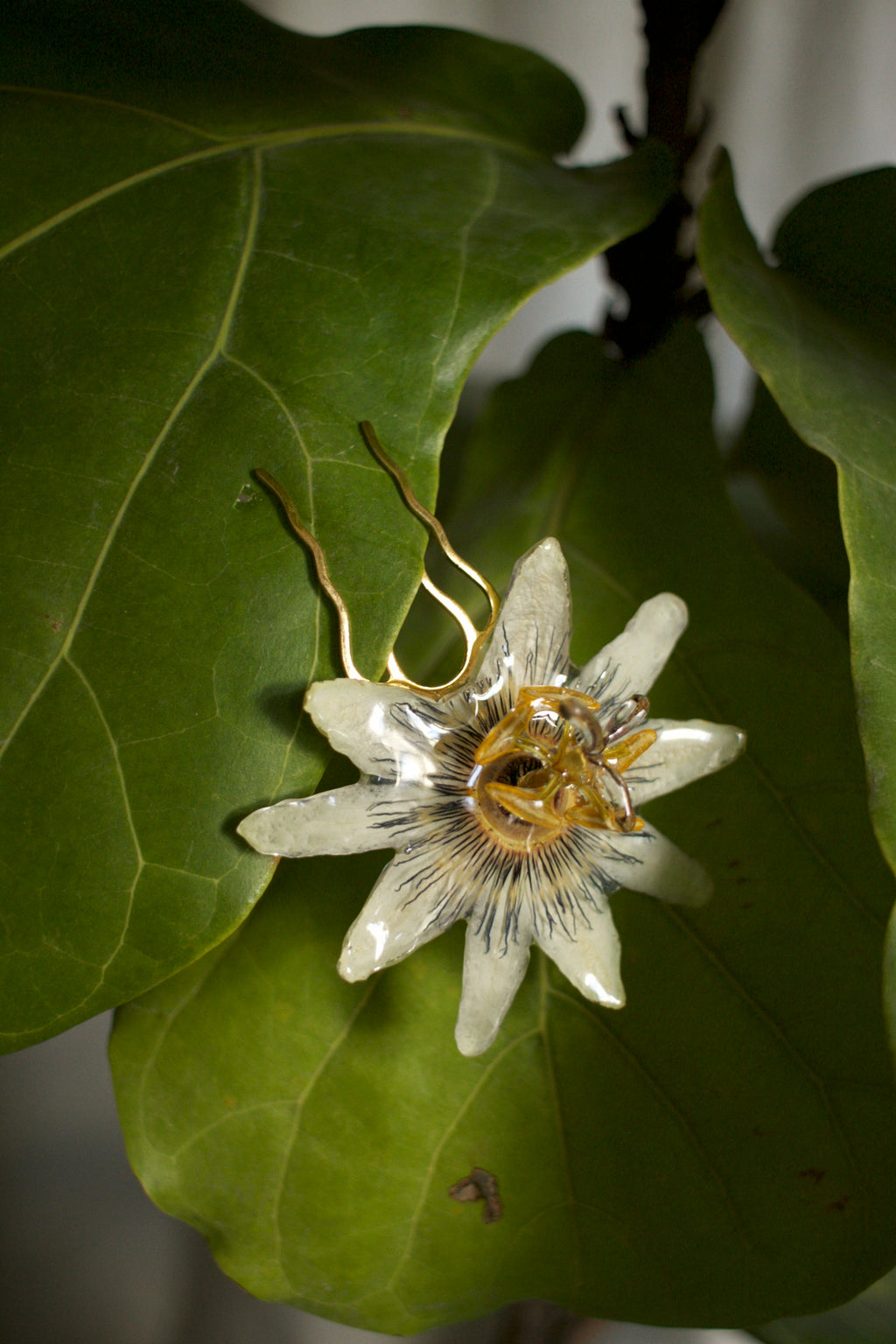 Passiflora Coiffure Comb