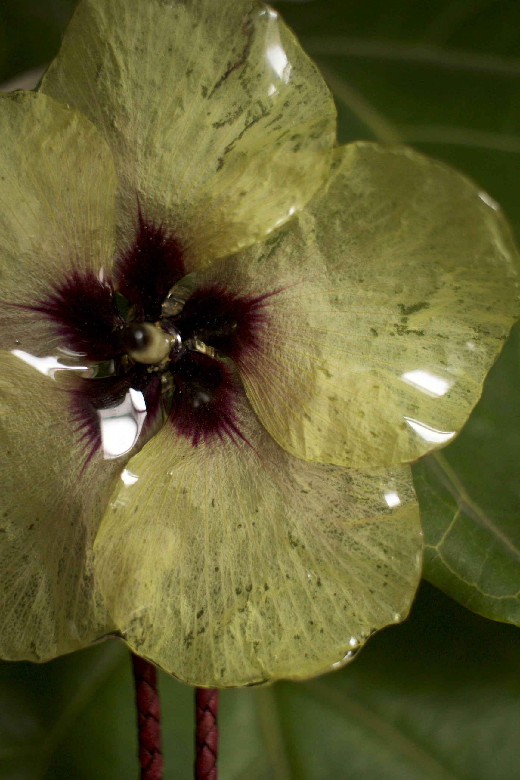 Okra Blossom Bolo Tie