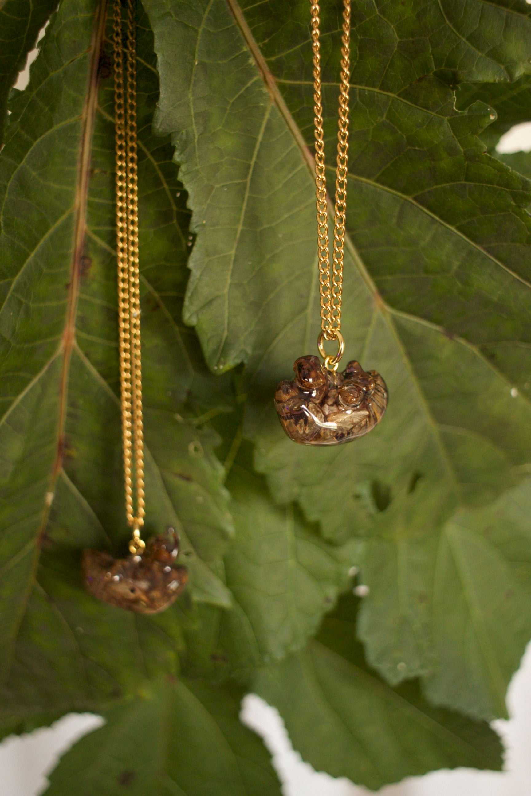 Cicada Shell Pendant Necklace