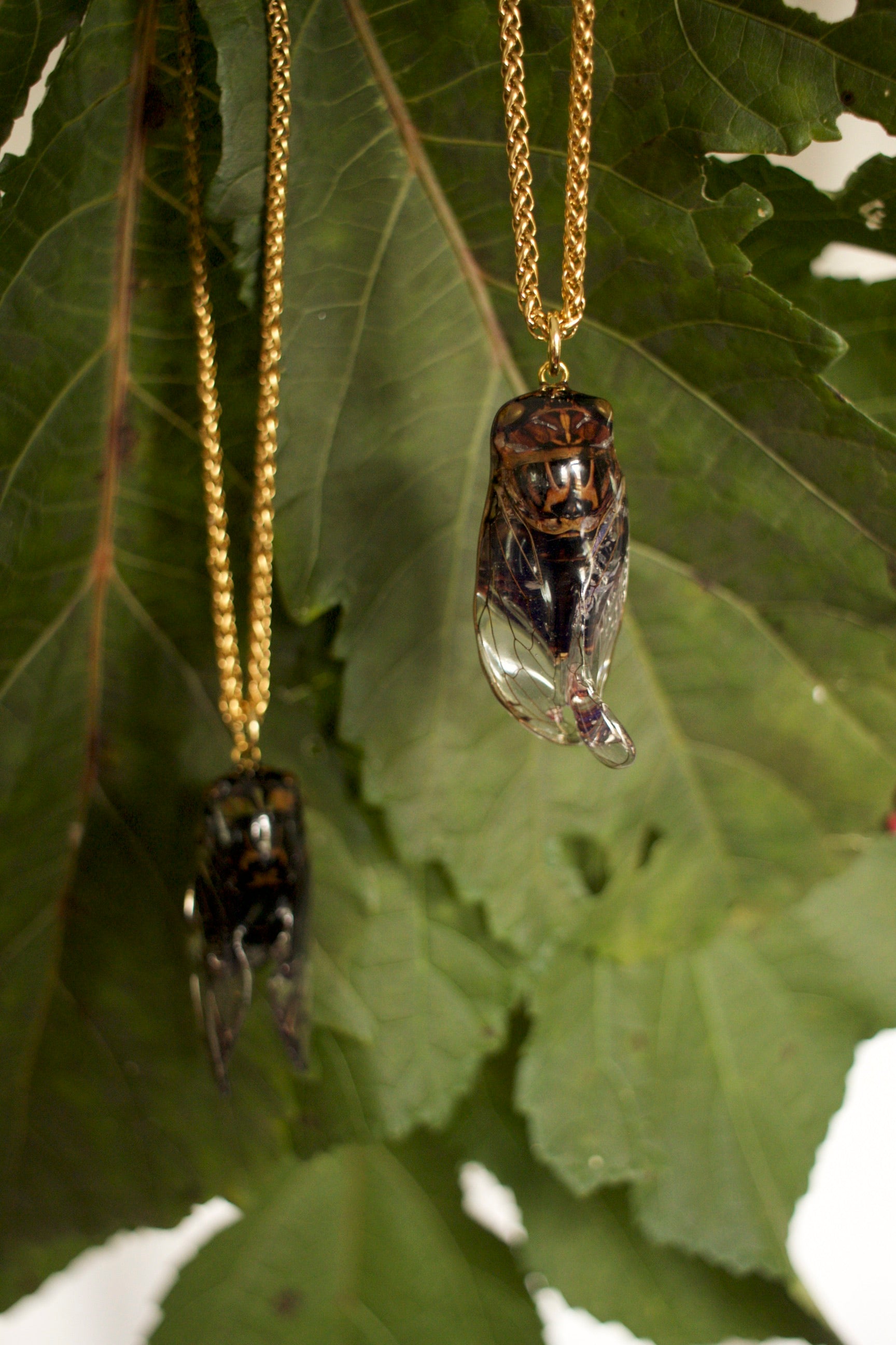 Cicada Pendant Necklace