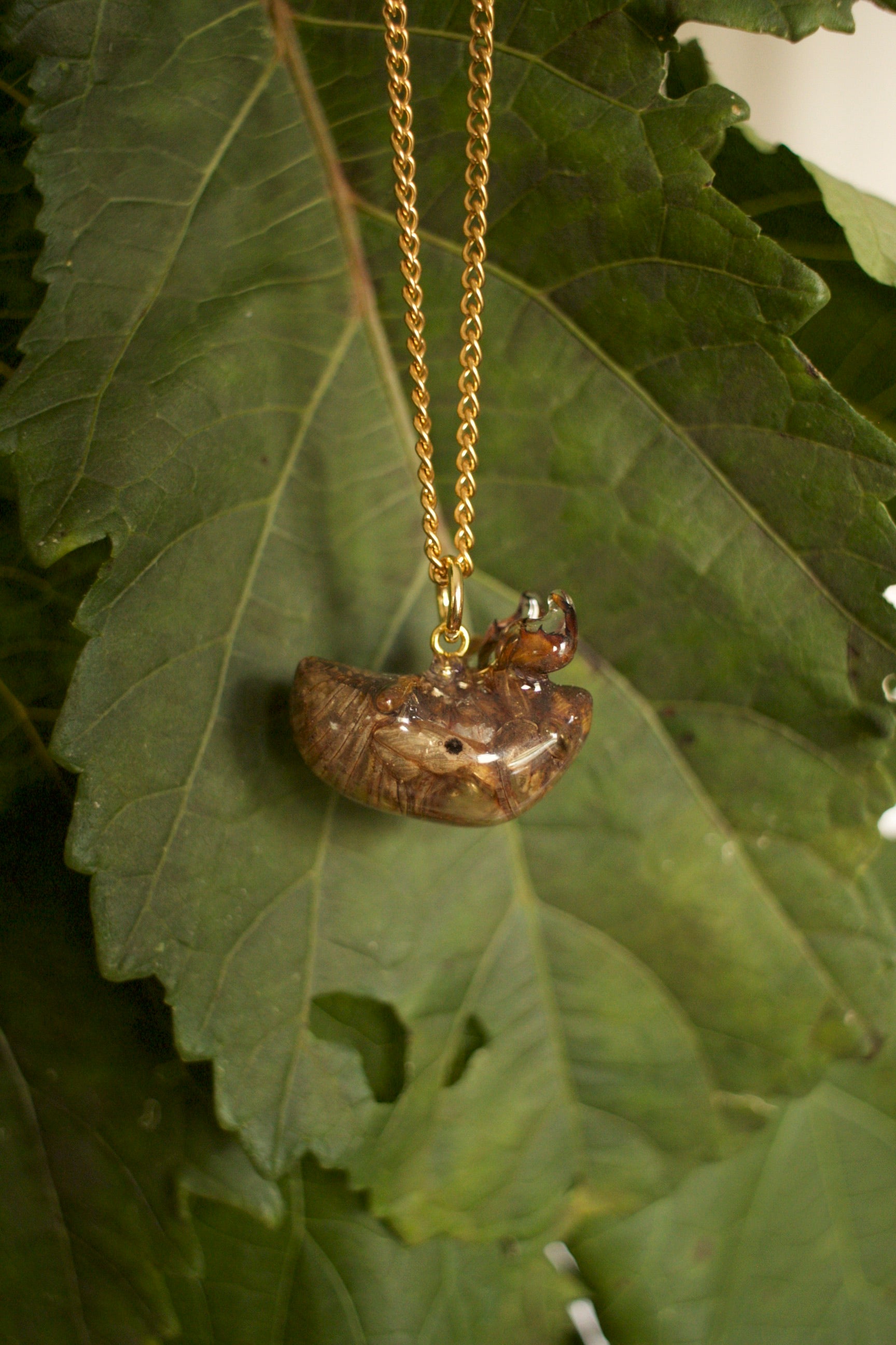 Cicada Shell Pendant Necklace