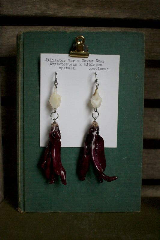 Atractosteus spatula x Hibiscus coccineus Dangles
