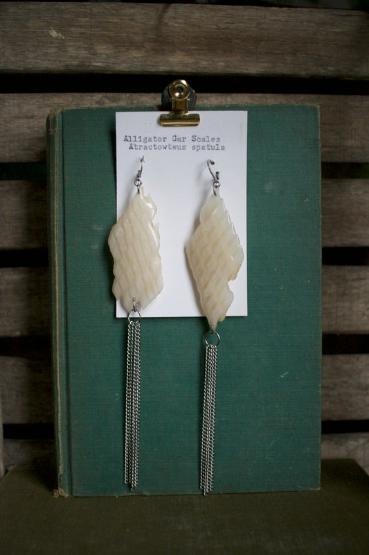 Atractosteus spatula Chain Dangles