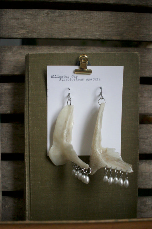 Atractosteus spatula Bead Dangles (i)