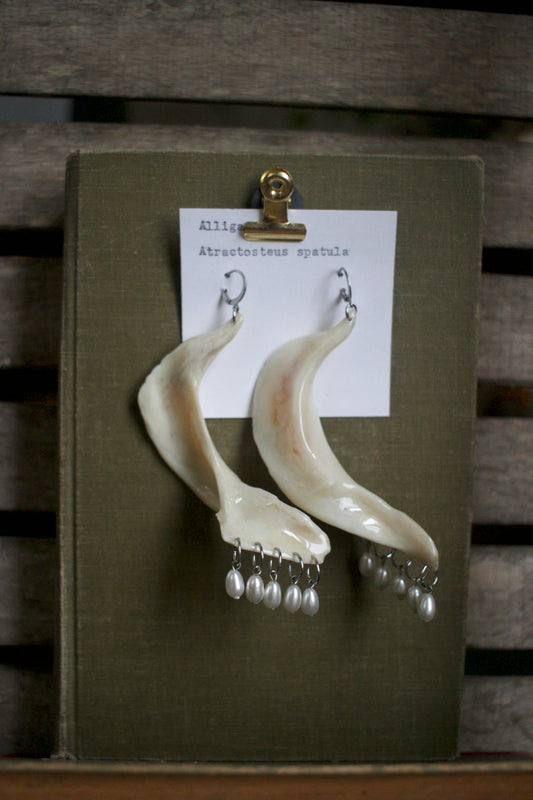 Atractosteus spatula Bead Dangles (ii)