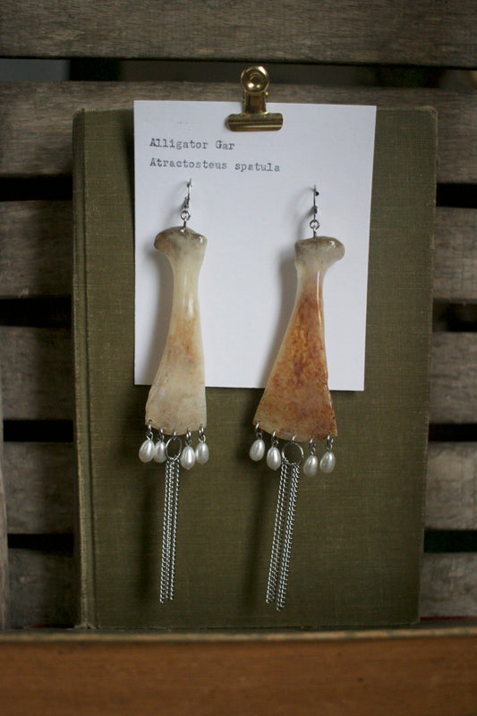 Atractosteus spatula Kite Dangles