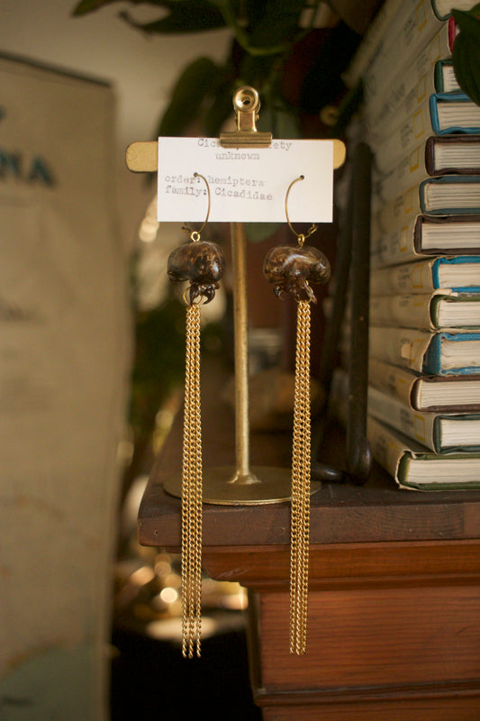 Cicadidae Chain Dangles