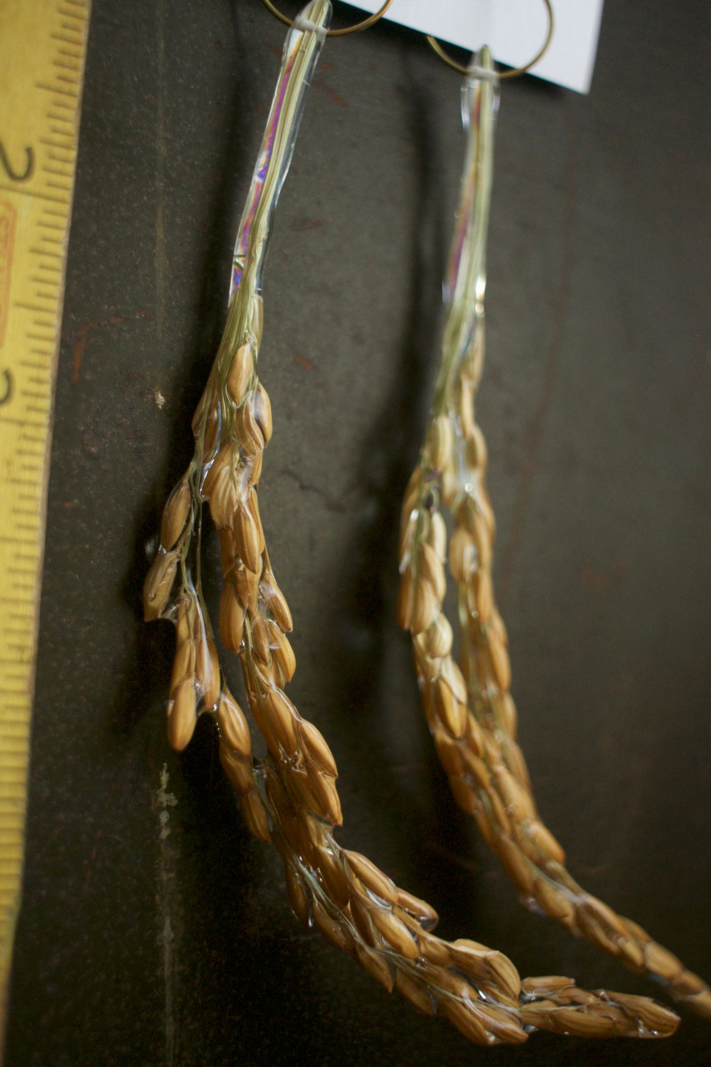 Oryza sativa Hoop Dangles
