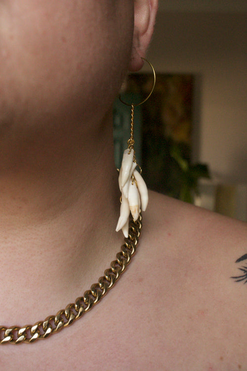 Alligator mississippiensis Dangles