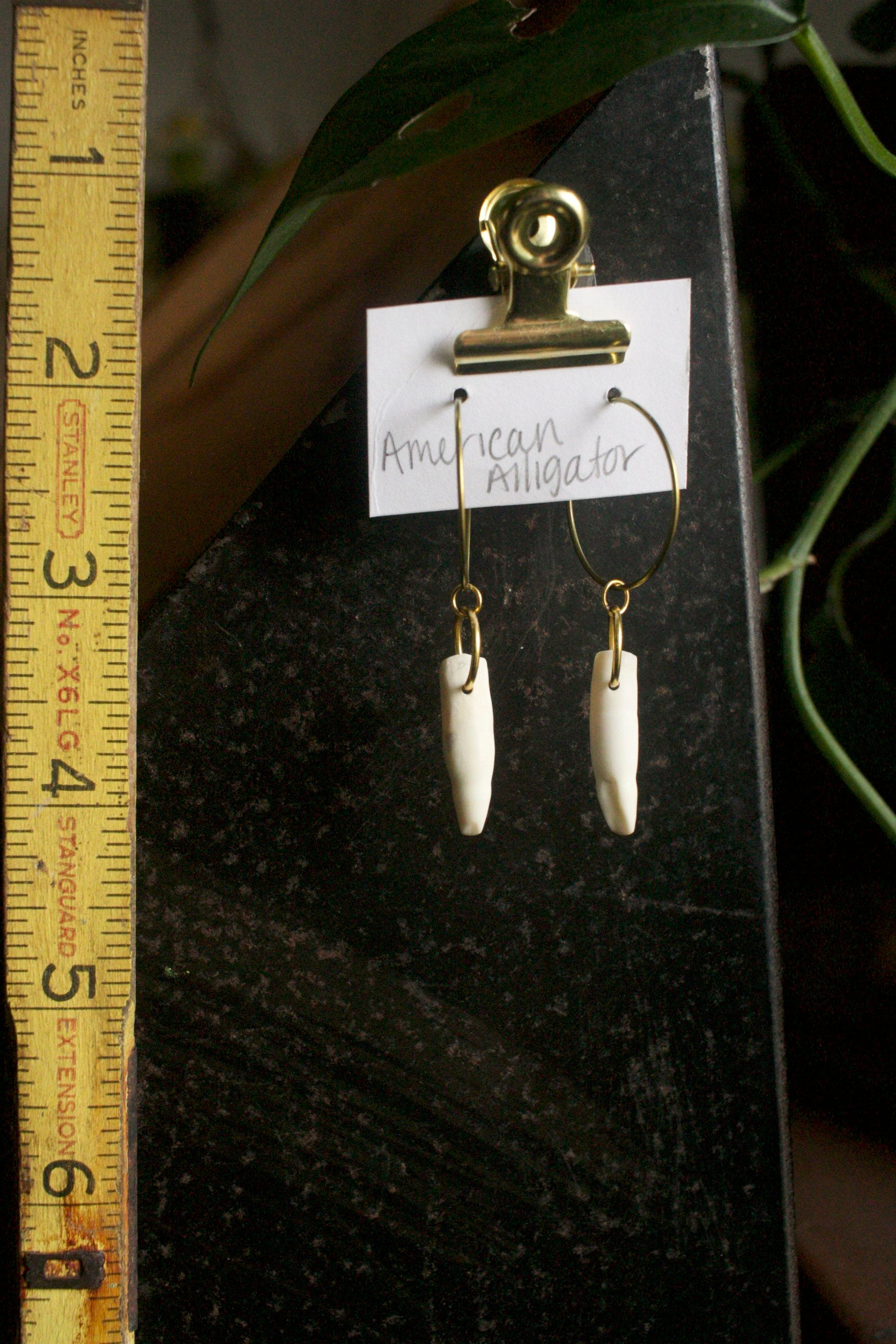 Alligator mississippiensis Tooth Dangles - Gold